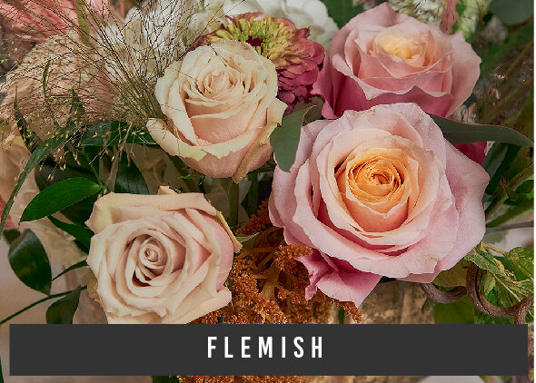 FLEMISH