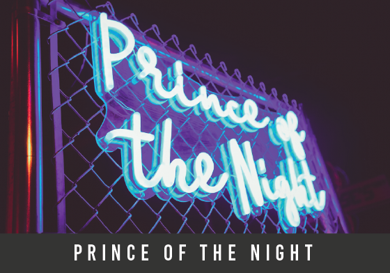 prince of the night-01.png