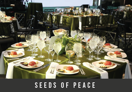 seeds of peace-01.png