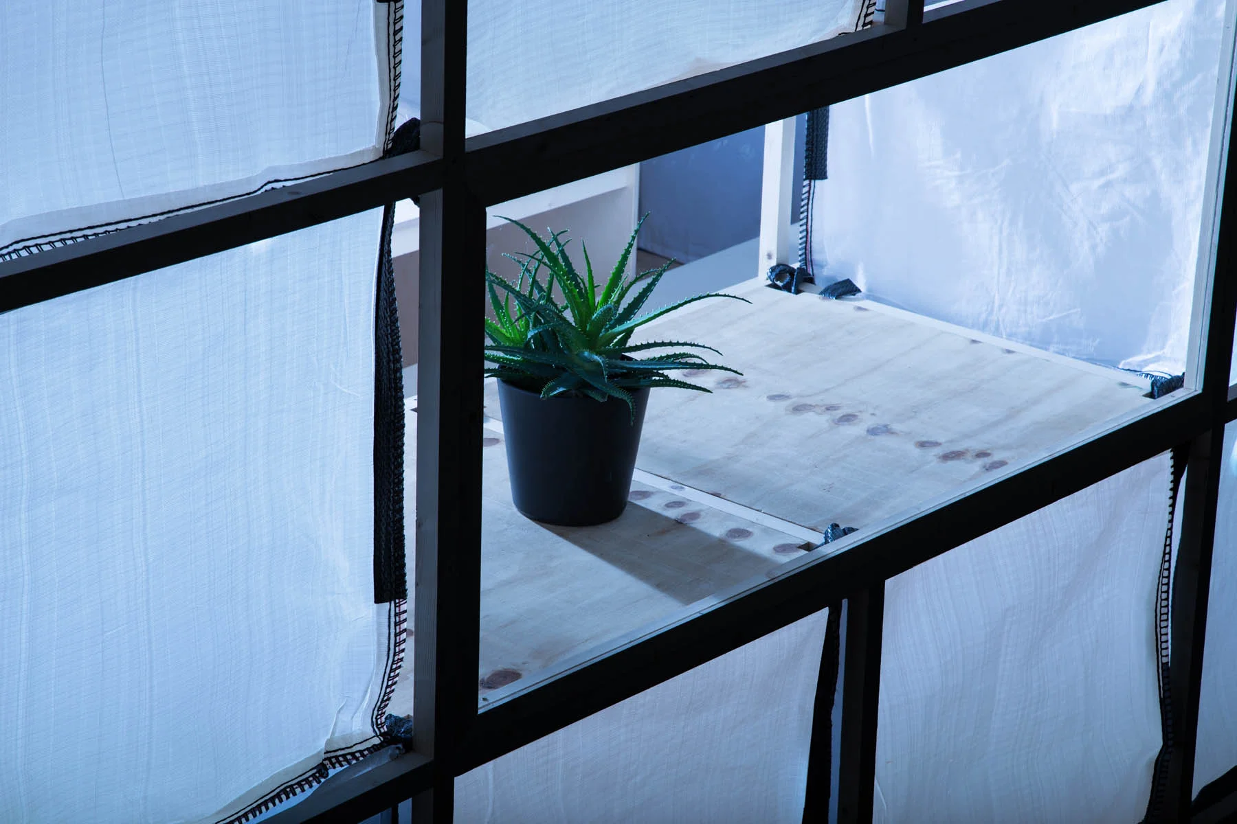 Window A.jpg