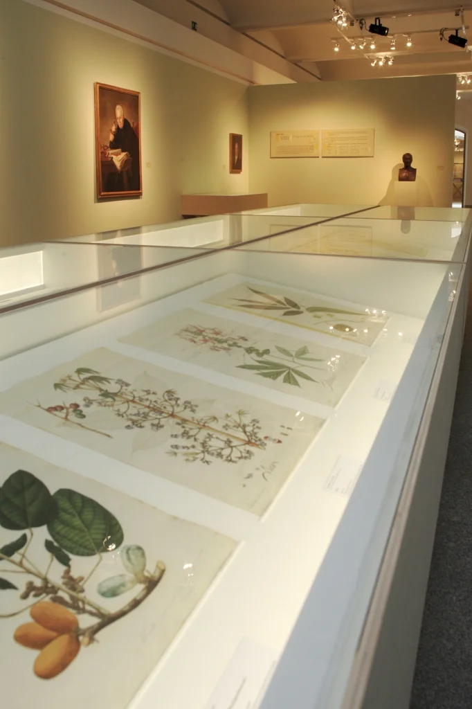 Evento Mutis-001.JPG