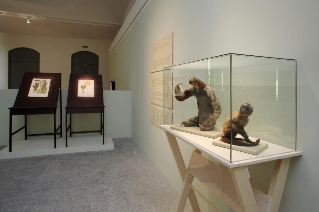 Evento Mutis-003.JPG