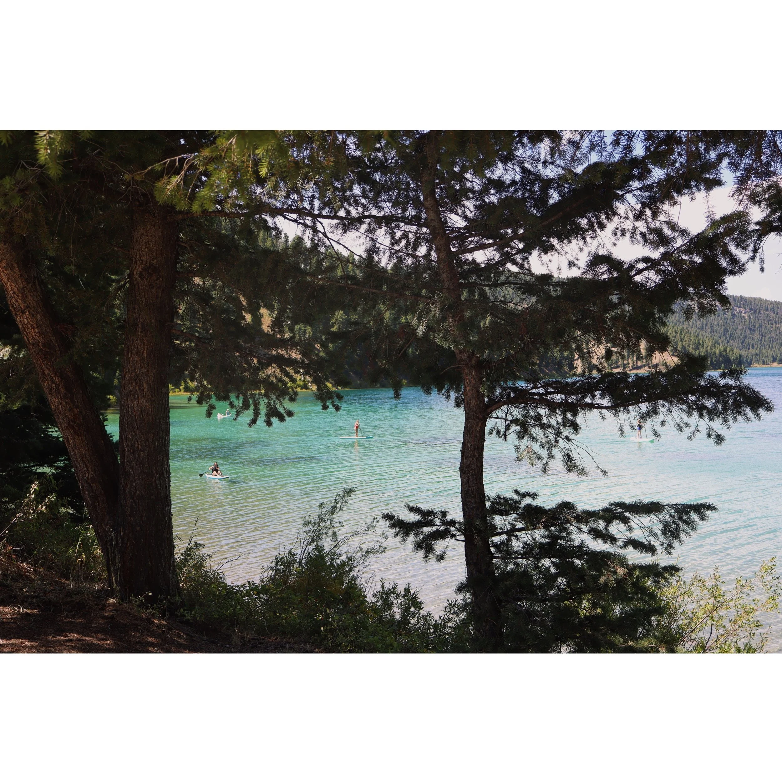 photo-output_1.JPEG