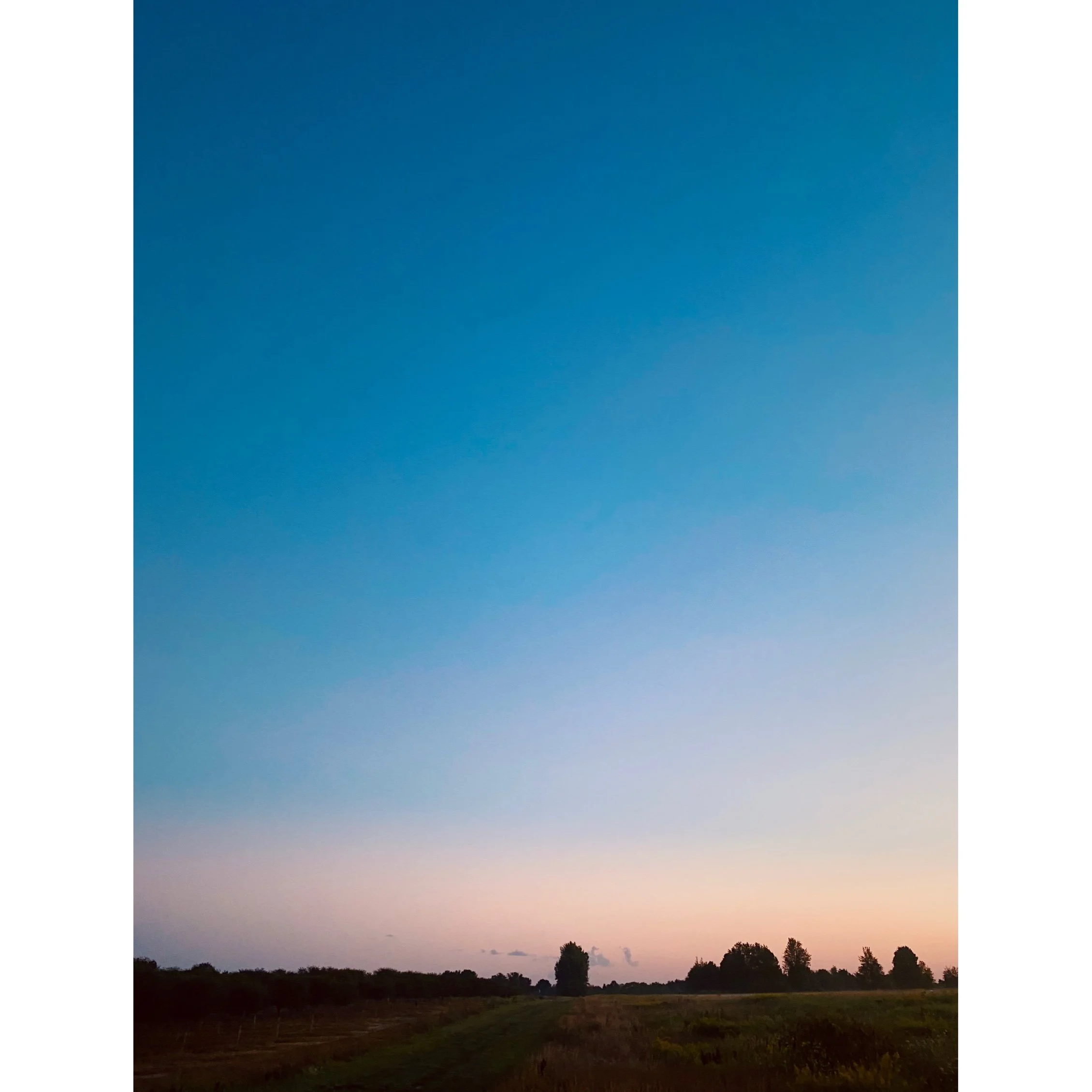 photo-output.JPG