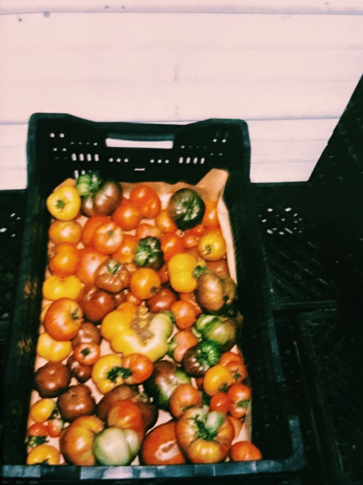 FullSizeRender_VSCO.jpeg