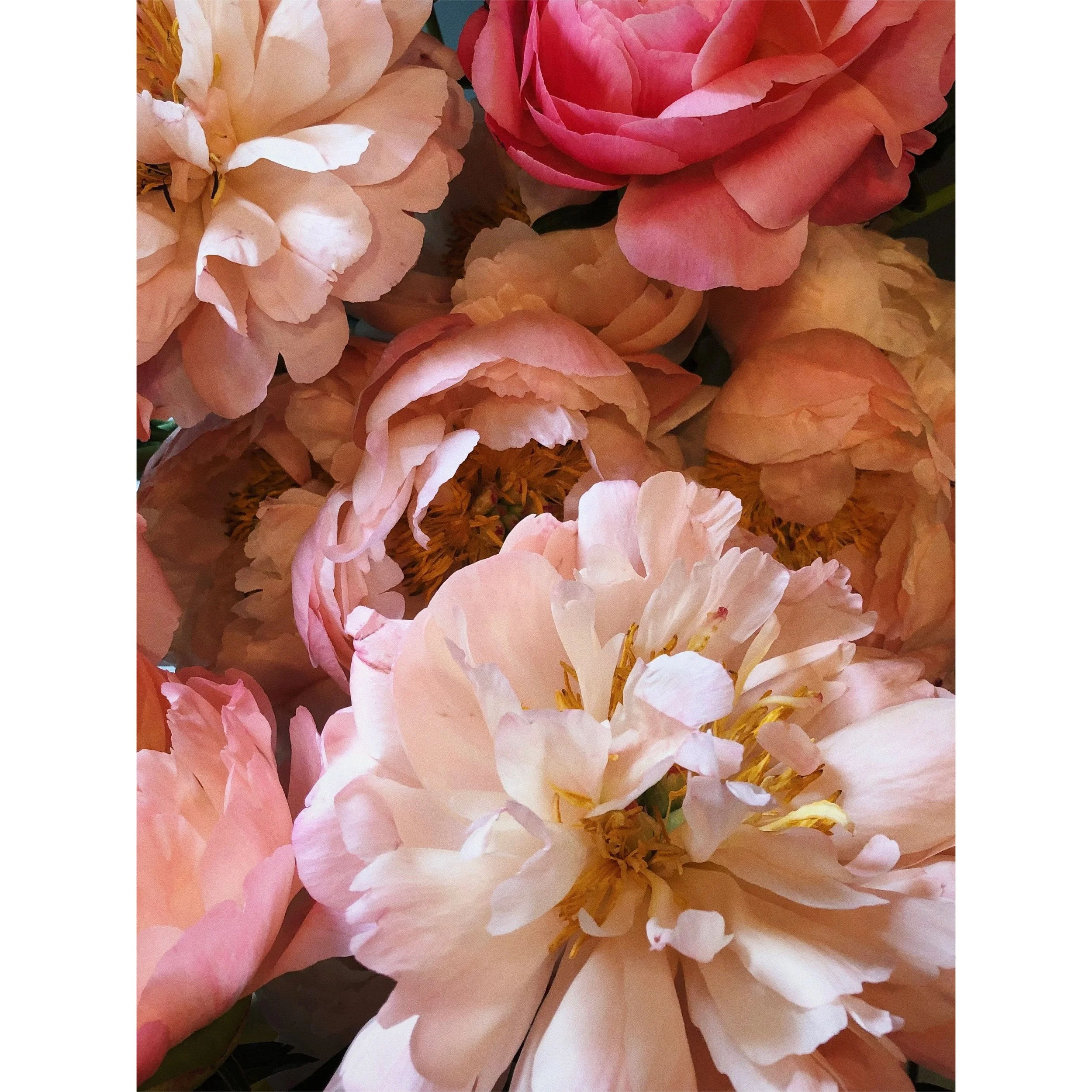 photo-output.jpeg
