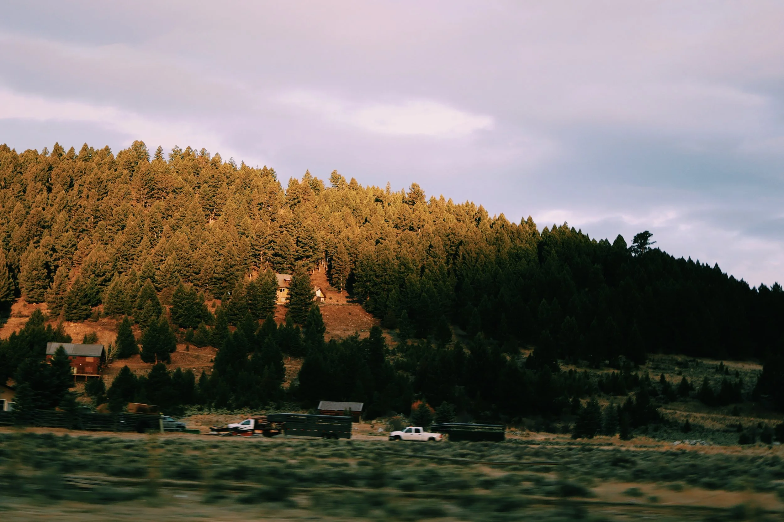 IMG_5482_VSCO.jpeg
