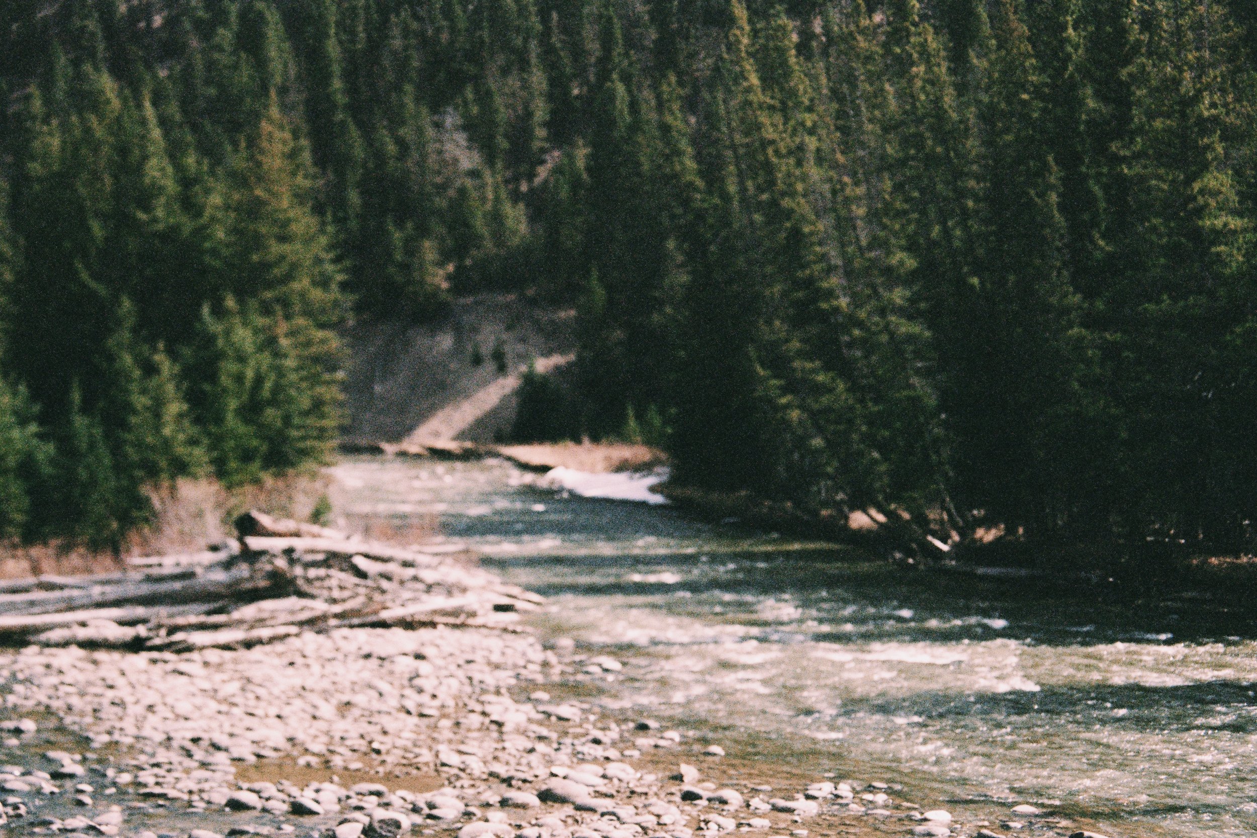 kodak_professional_portra_400_05_13_2025_000044910001_VSCO.jpeg
