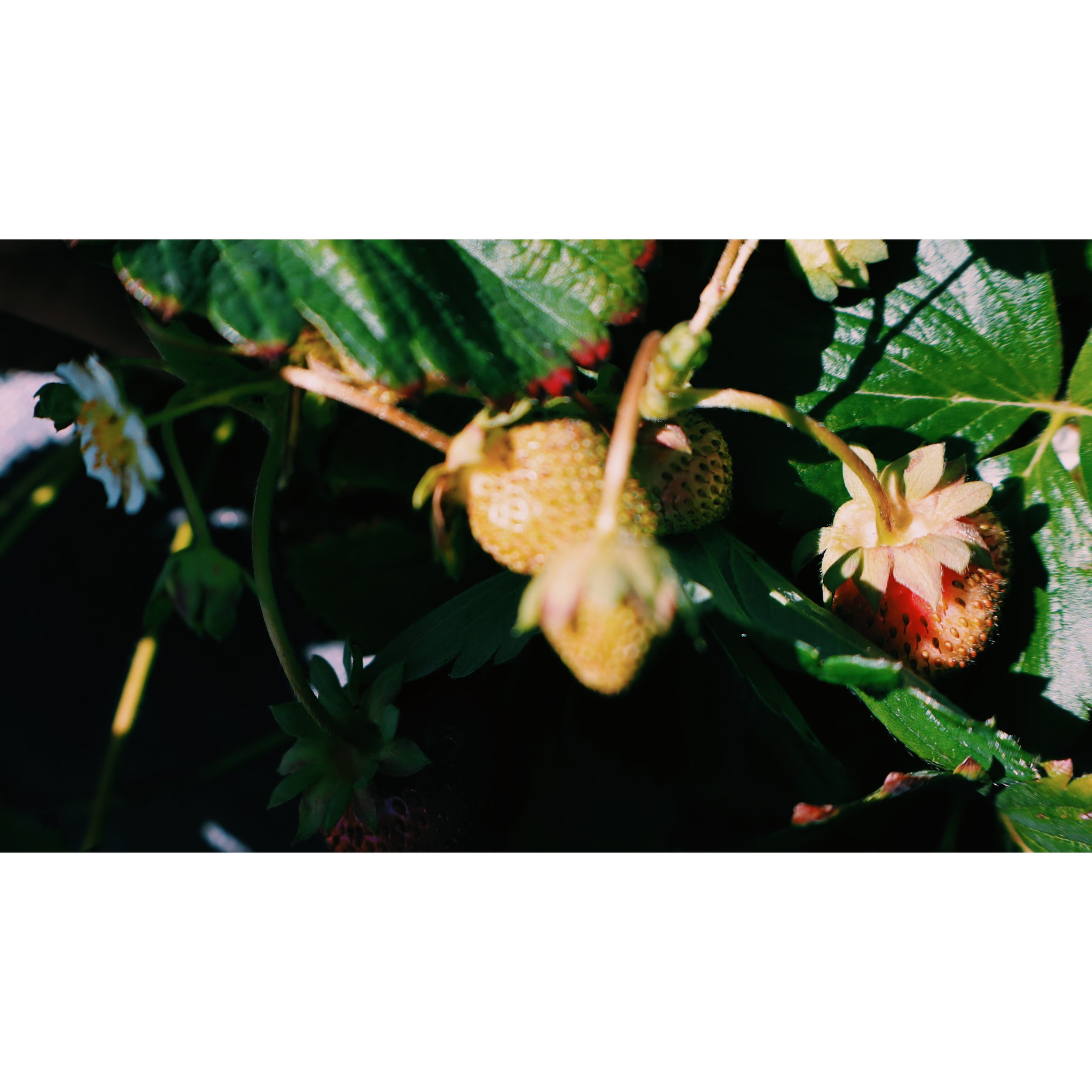 photo-output_9.JPG