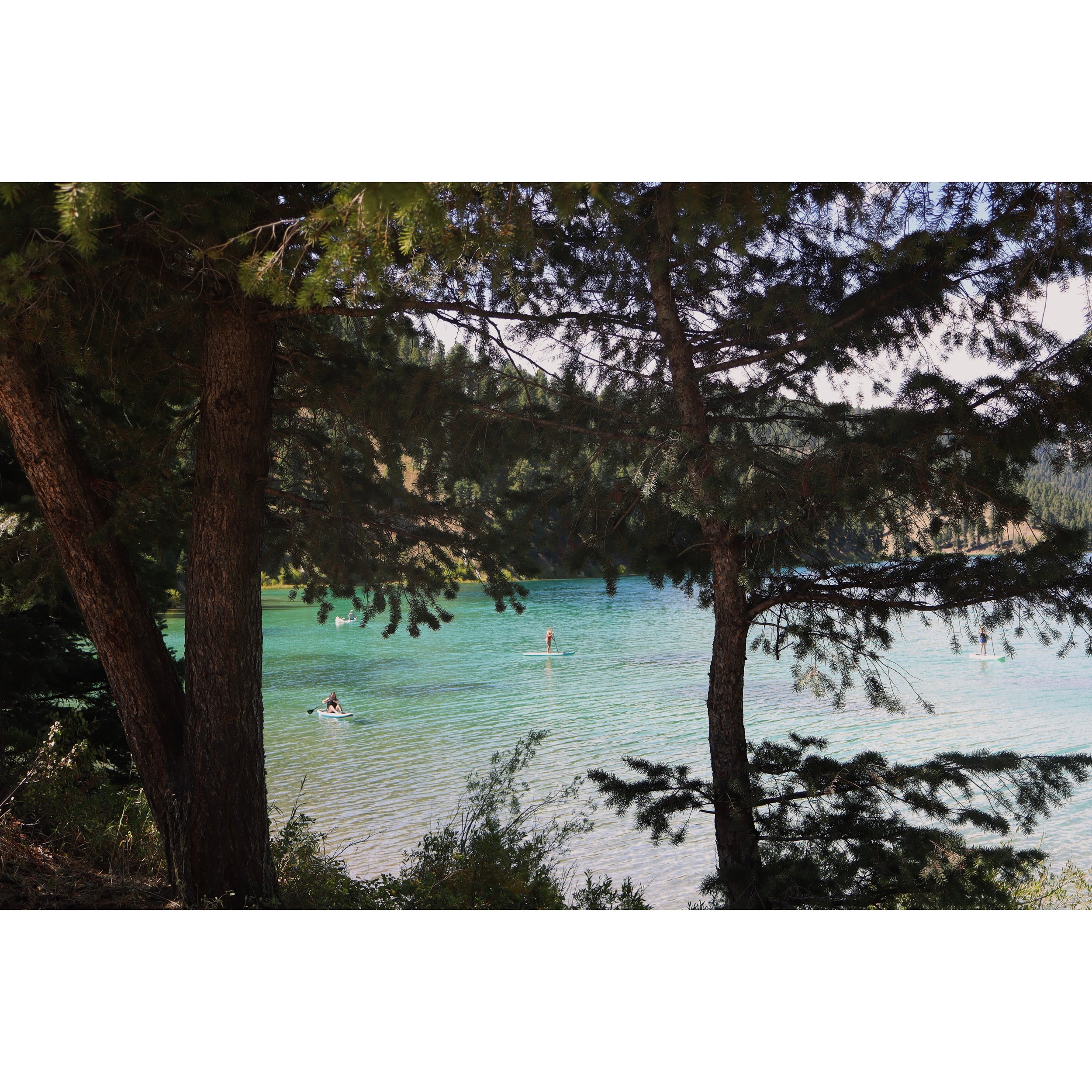 photo-output.JPEG