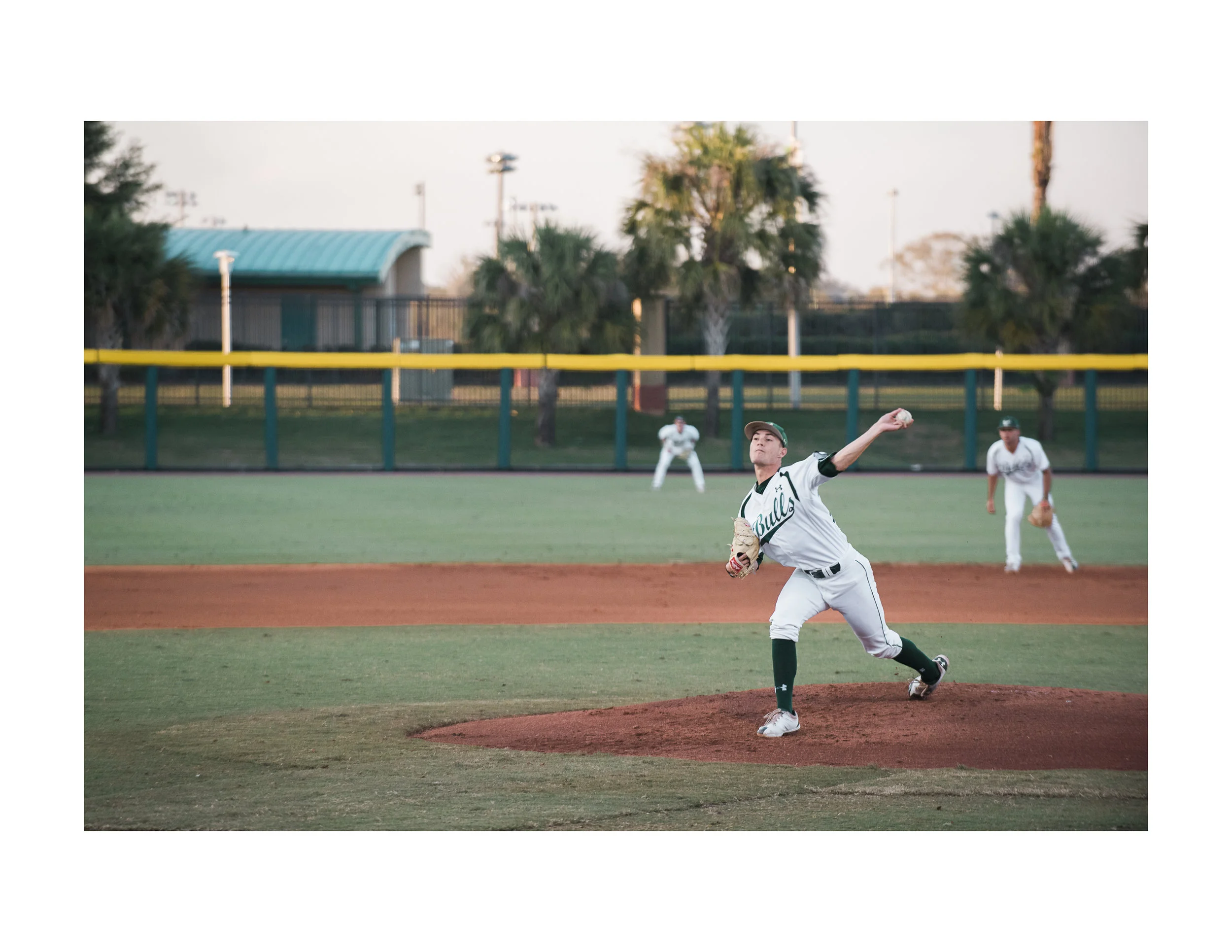 bullsbaseball;.jpg