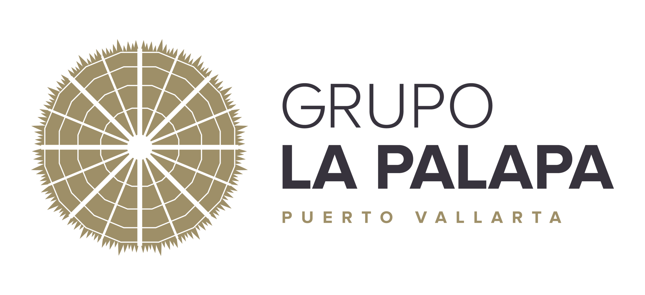 Grupo La Palapa | Puerto Vallarta, Mexico