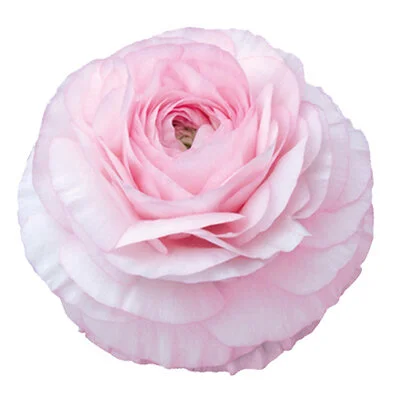 40E1EAB3-FB48-495A-BC95-017EC1D696FB