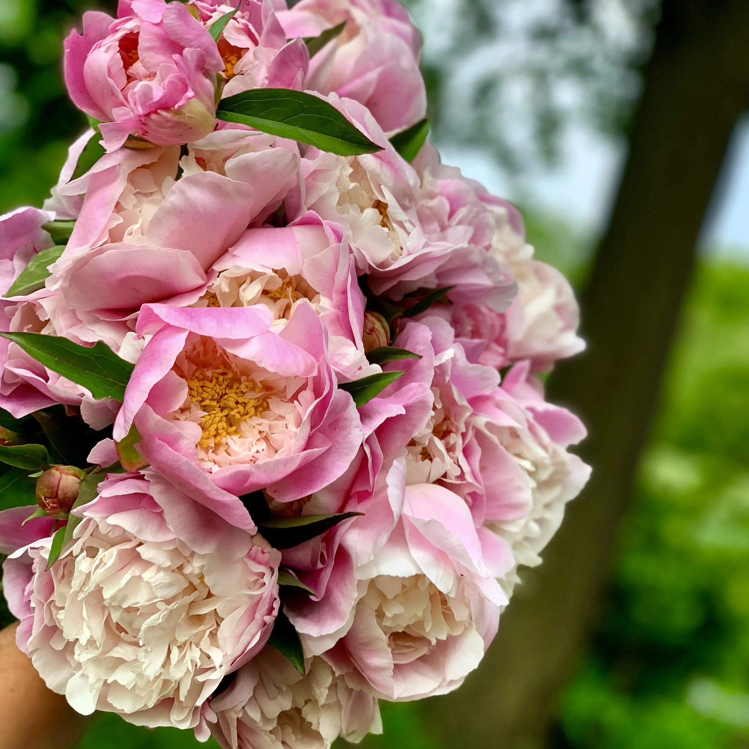 47D303C0-99A4-40C7-A024-766815F7C6BF