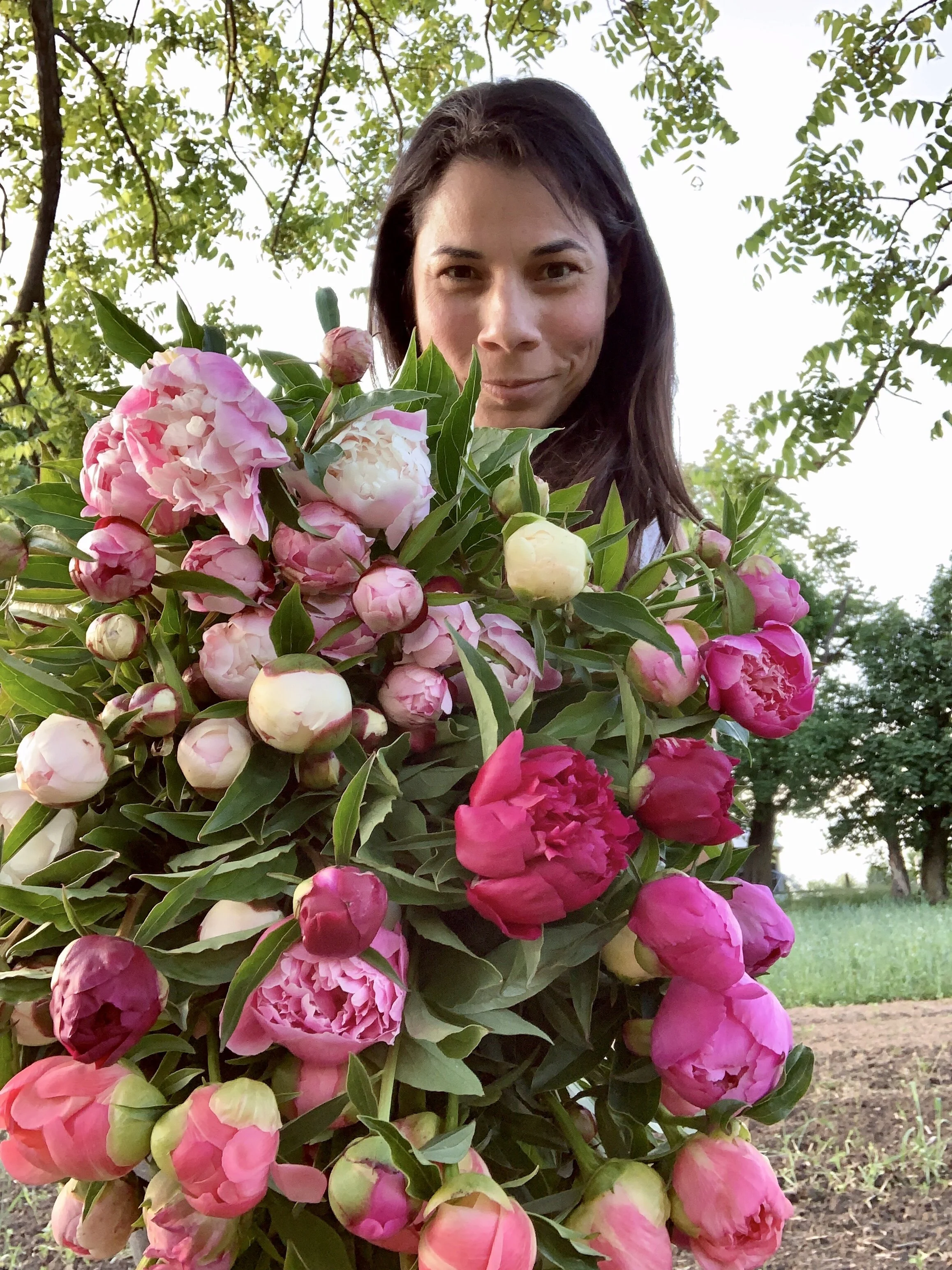 11D20E1A-D70A-4FF0-9C6E-A91E5C089B52