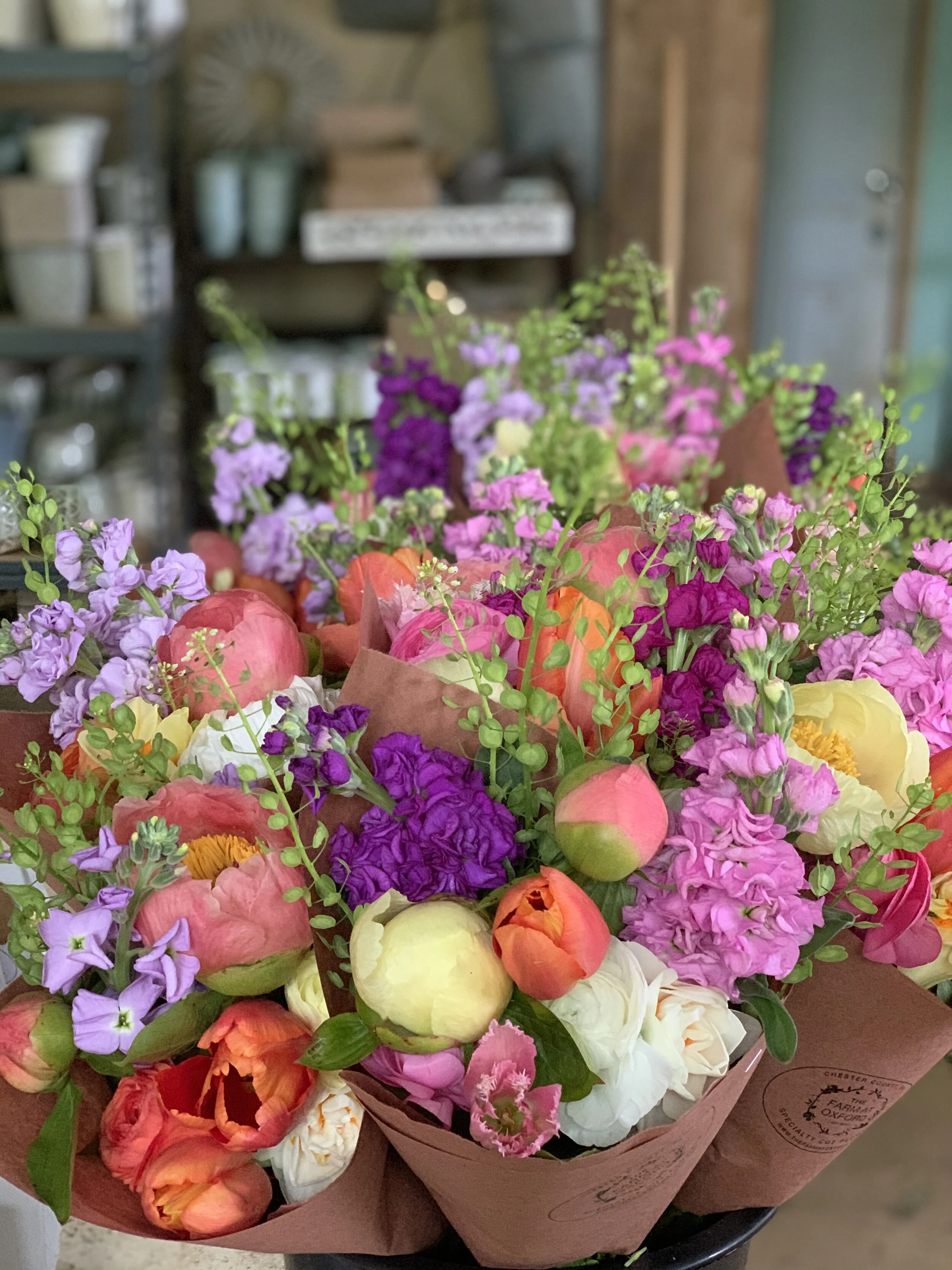 283EFB8D-C1CA-407E-8DDE-E72AEA294A72