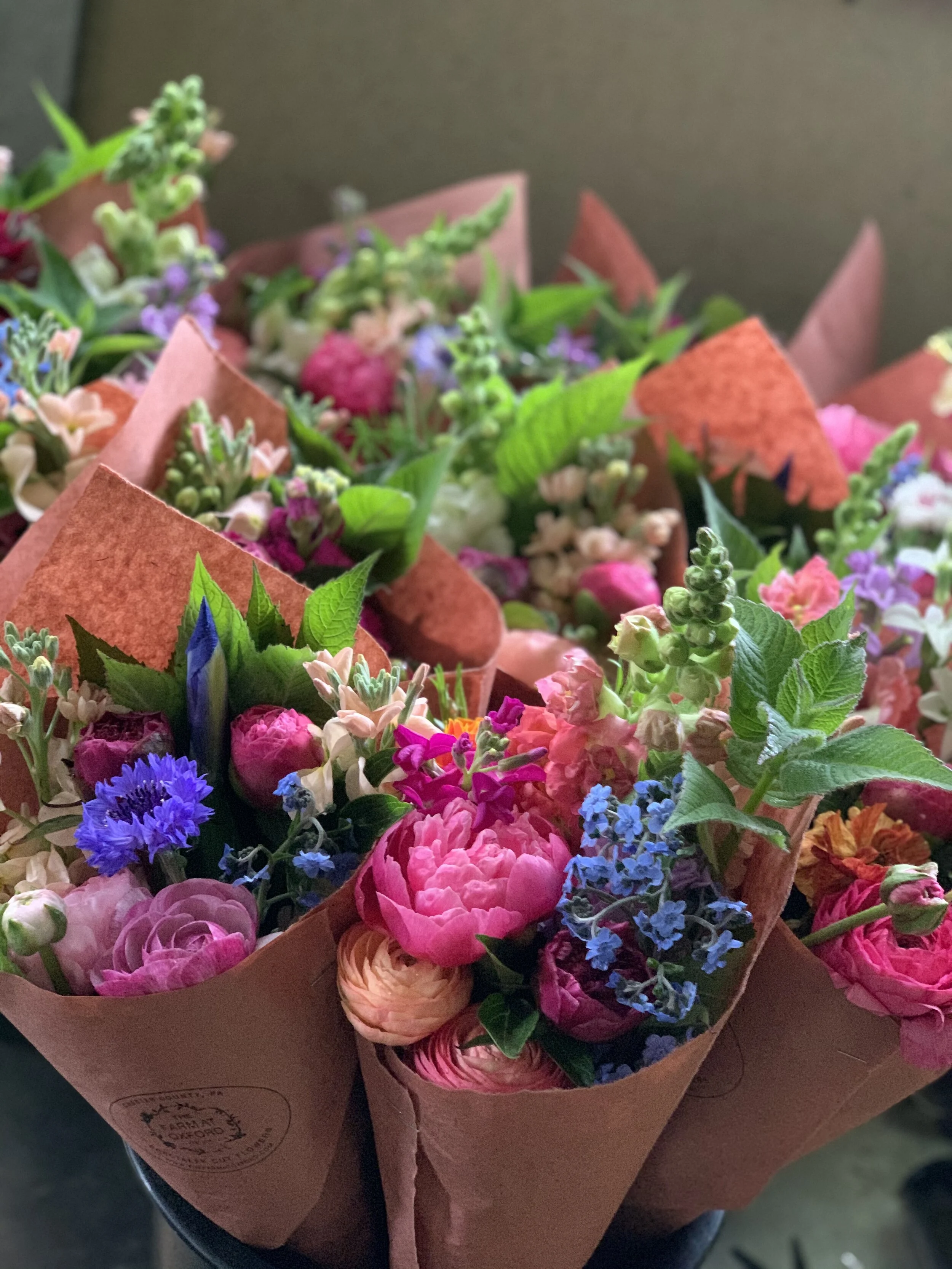 6652738F-B6F0-452E-9DFC-6E538FC0D0E5