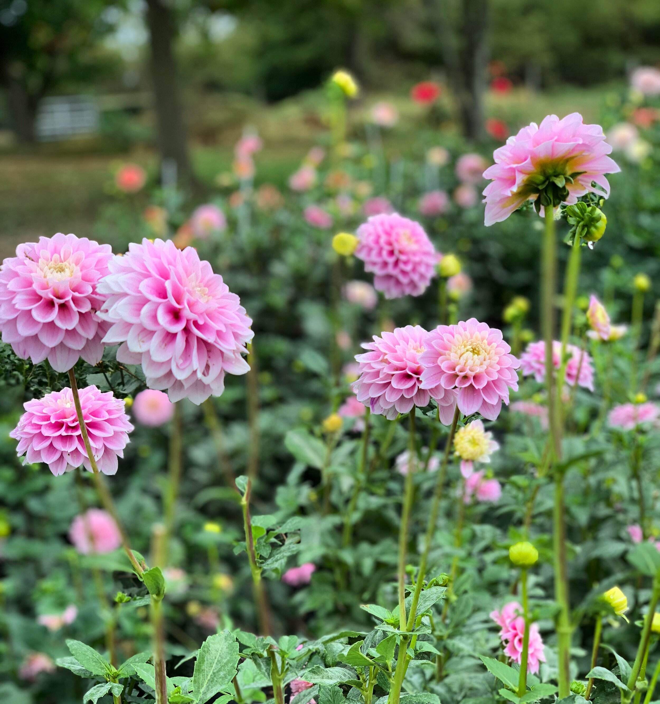 By Chance or By Change?