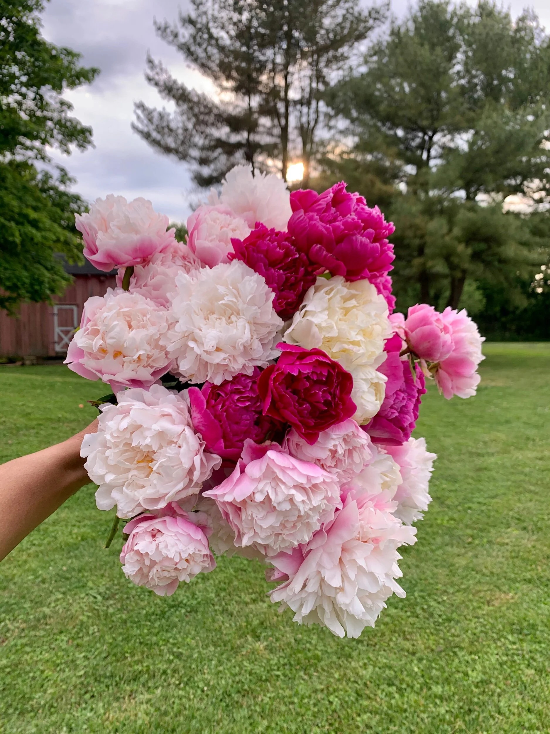 D079CF69-286D-4398-B1E4-161BBB480AE2