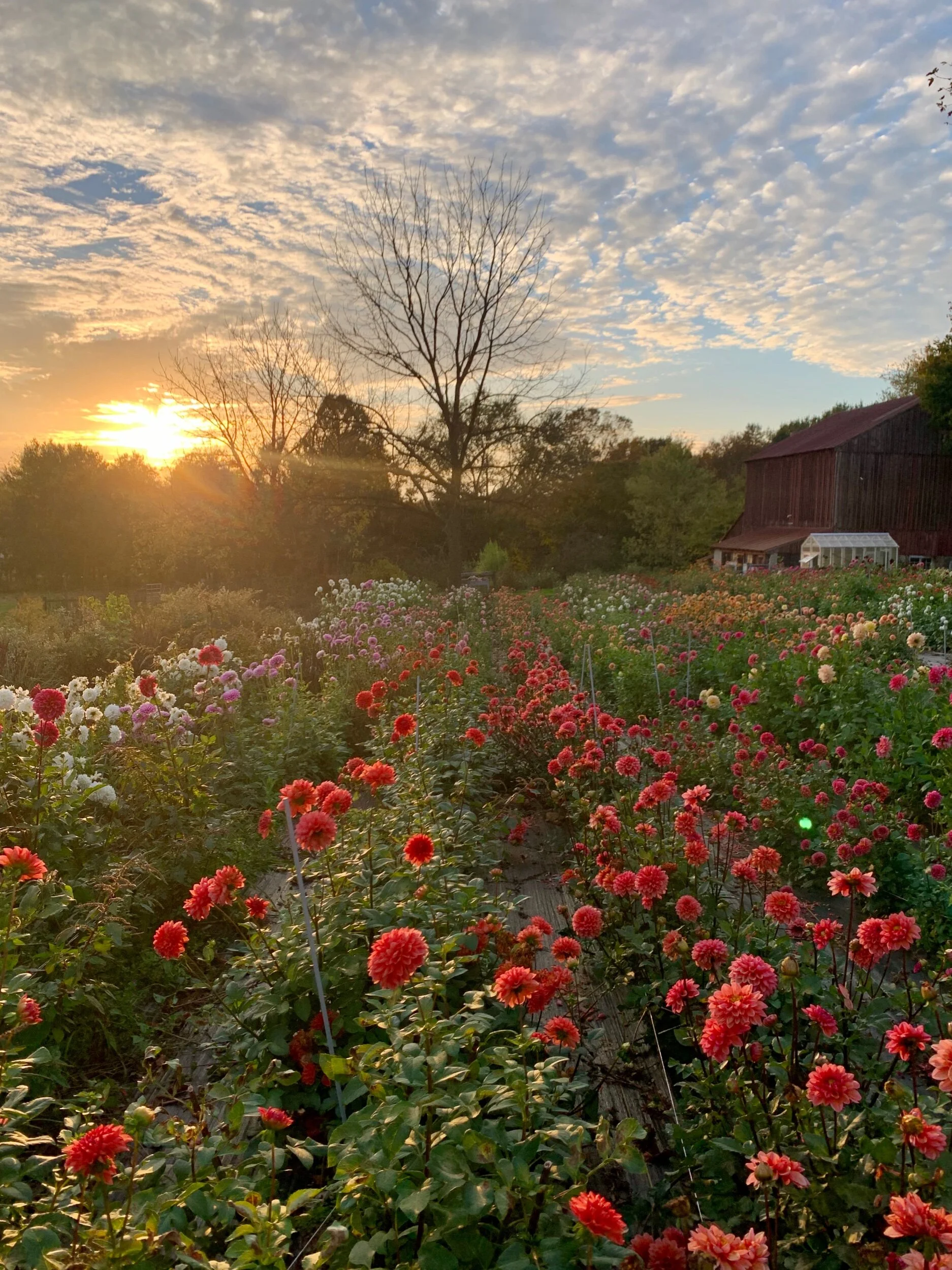 972C4AFA-C1D6-4722-B680-A48C0AFA33F8