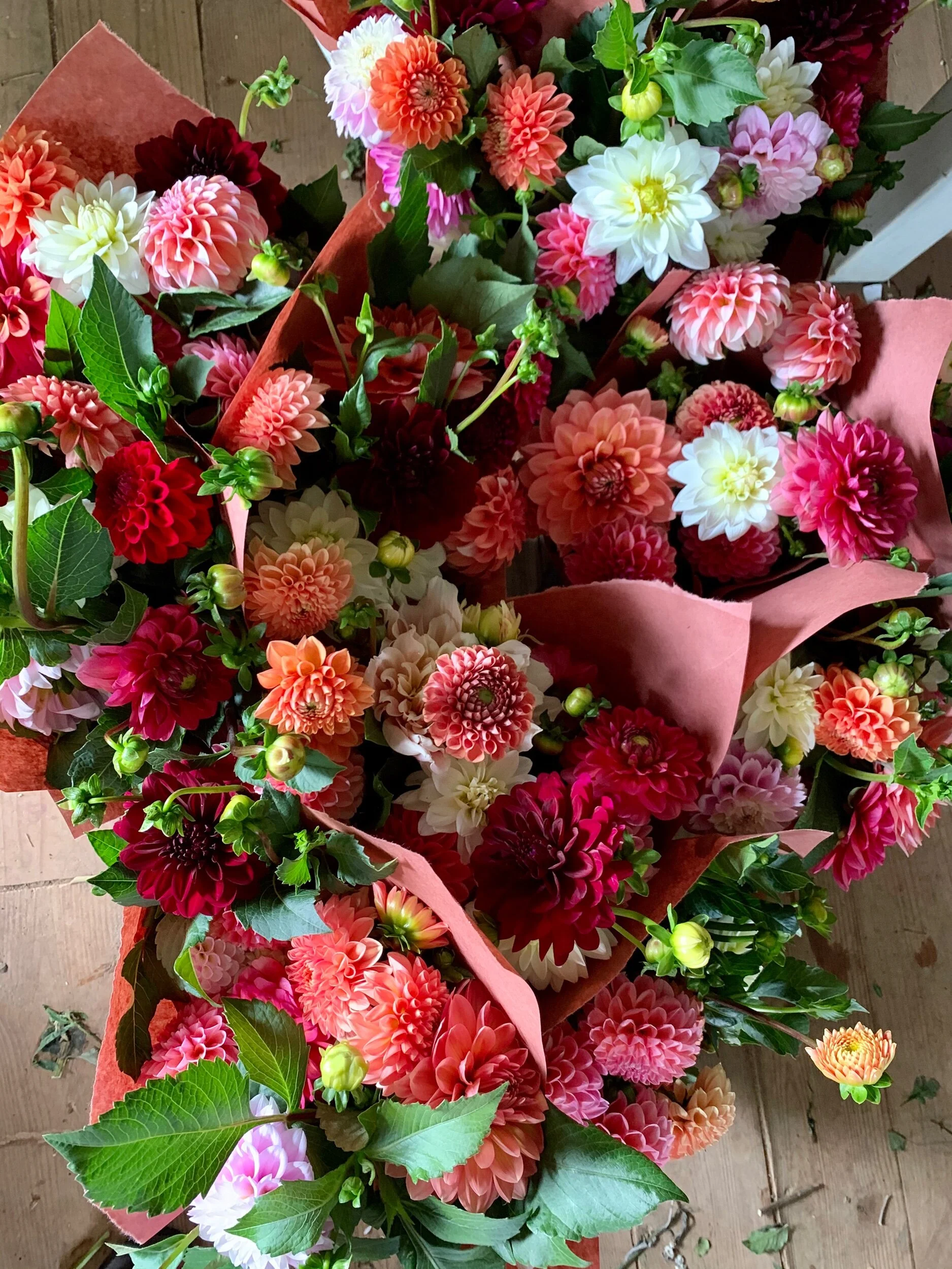 791E0FFC-0A94-43A6-B104-AFE8B206F778