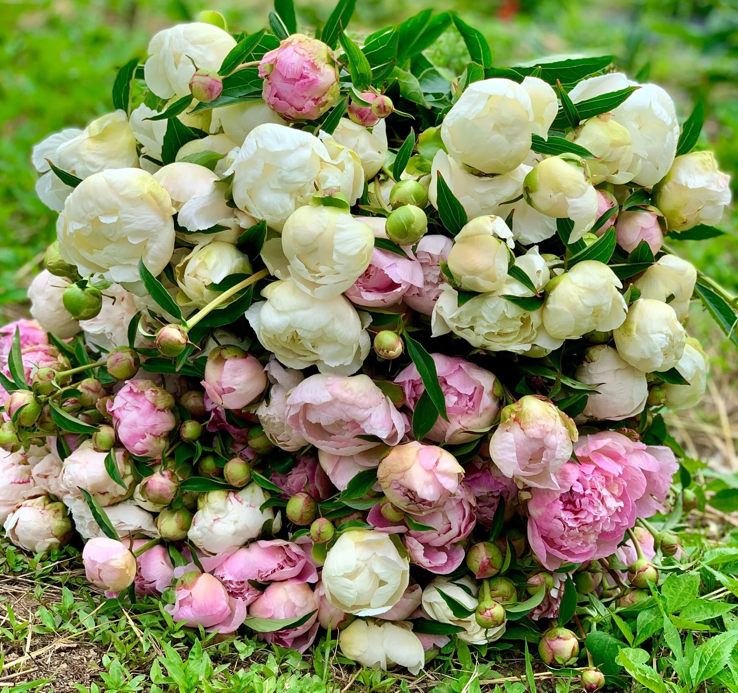 F639EB3F-11B2-49D1-853F-B7BF79C6664B