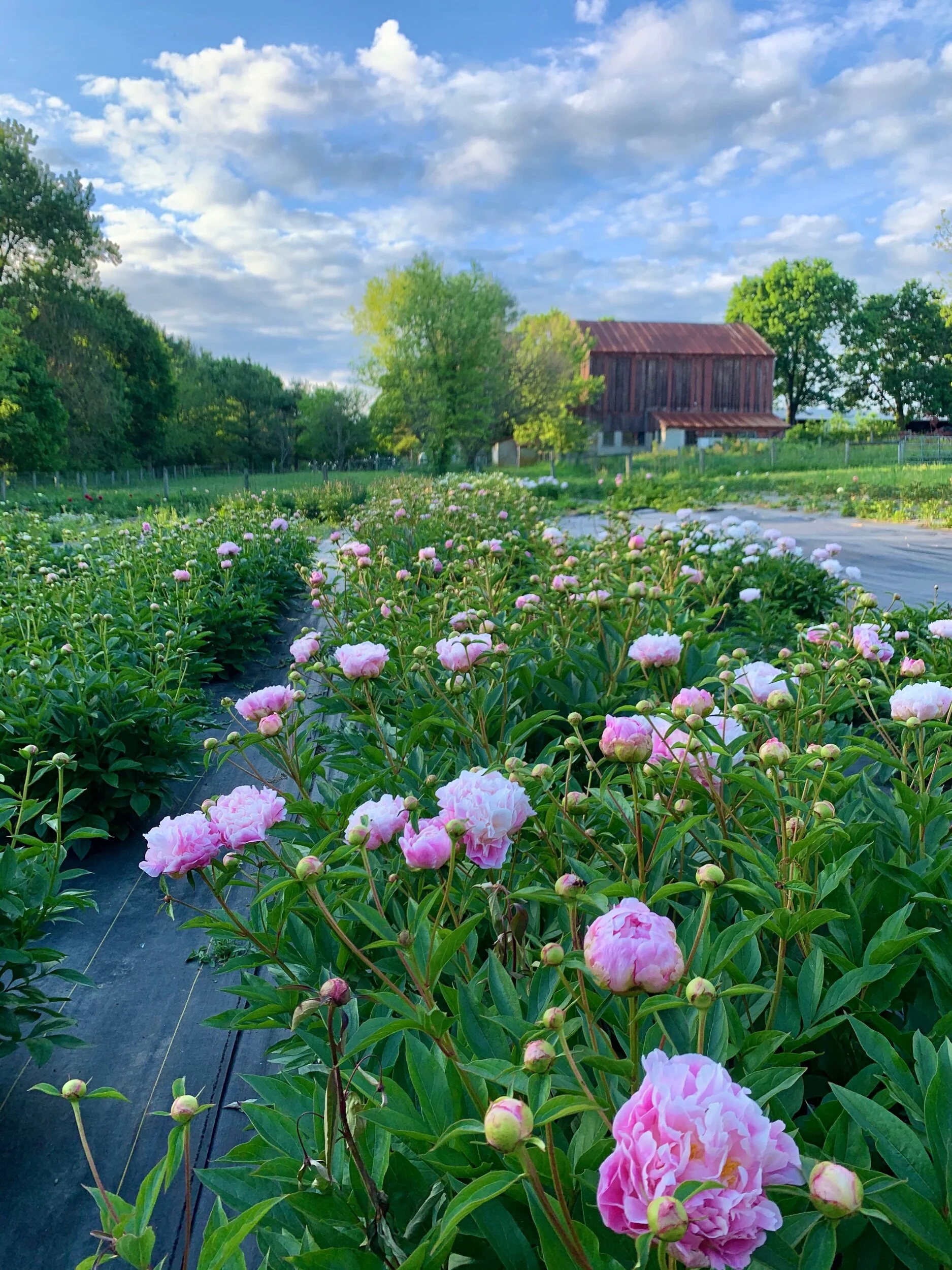 435102A5-8C58-467B-9E61-1F8FB53B2BBA