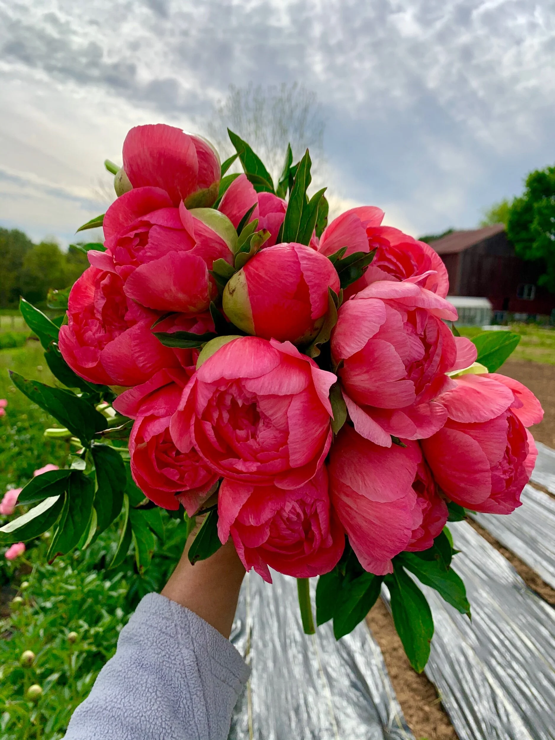 750A4DD8-A94F-4C5A-B6BF-20F06663724E