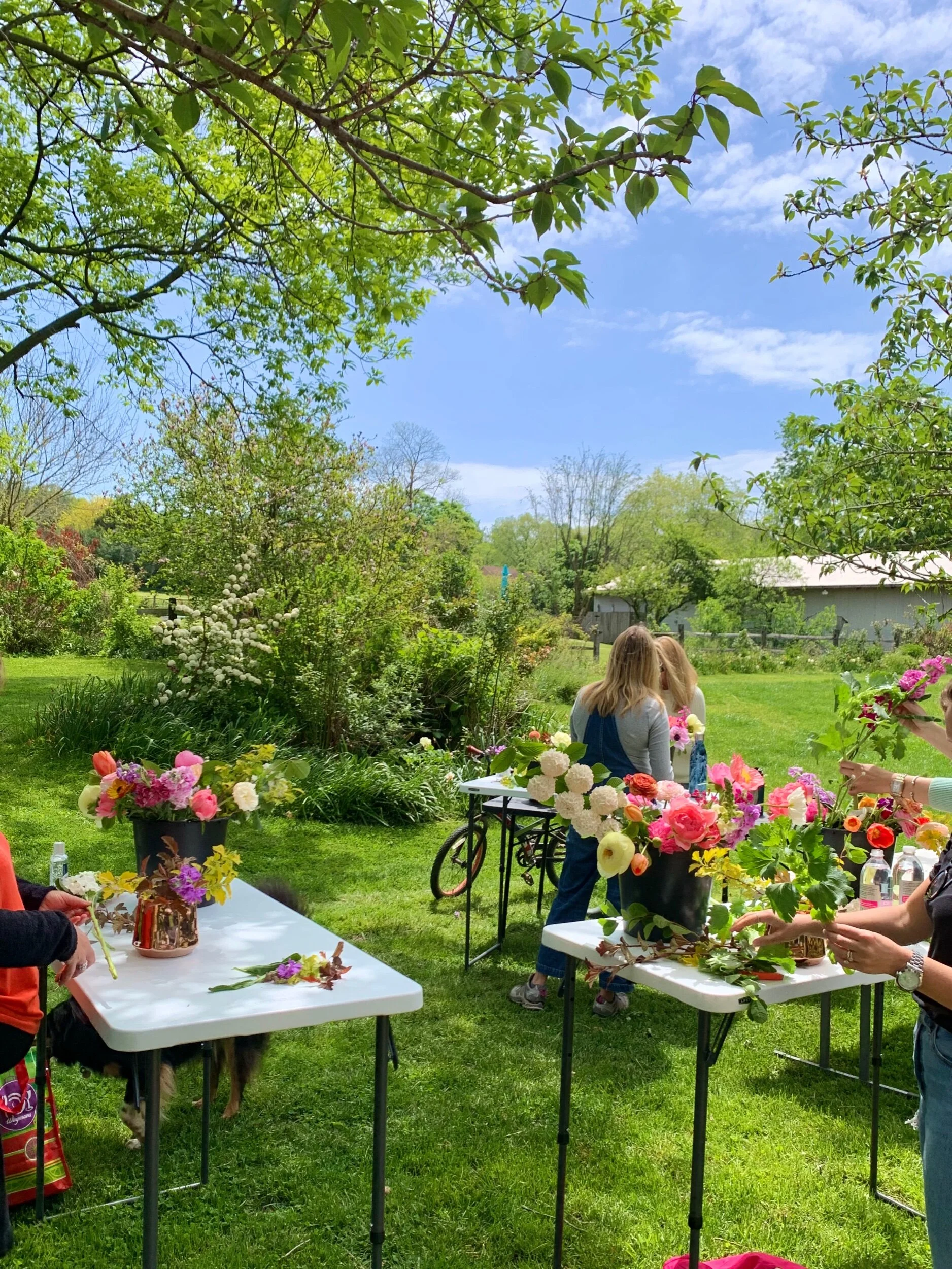 F8EFA2A5-1A18-4082-972D-62B65AFA842C