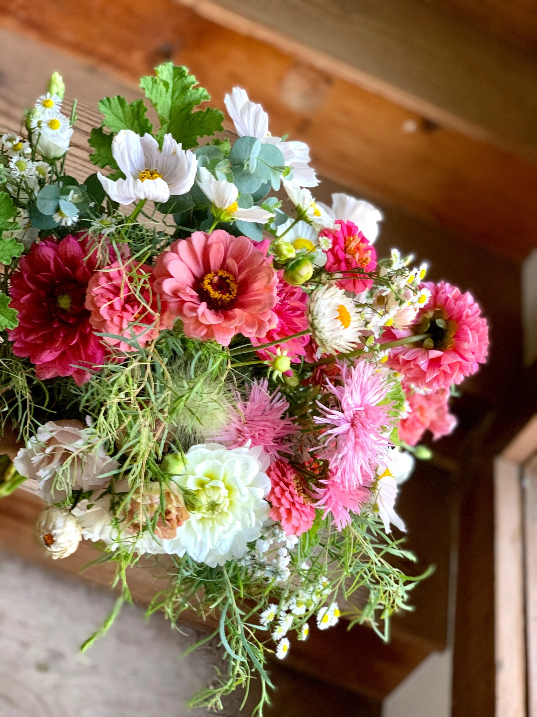 57DBBD87-3EED-4D0C-AFC4-6774172340C2