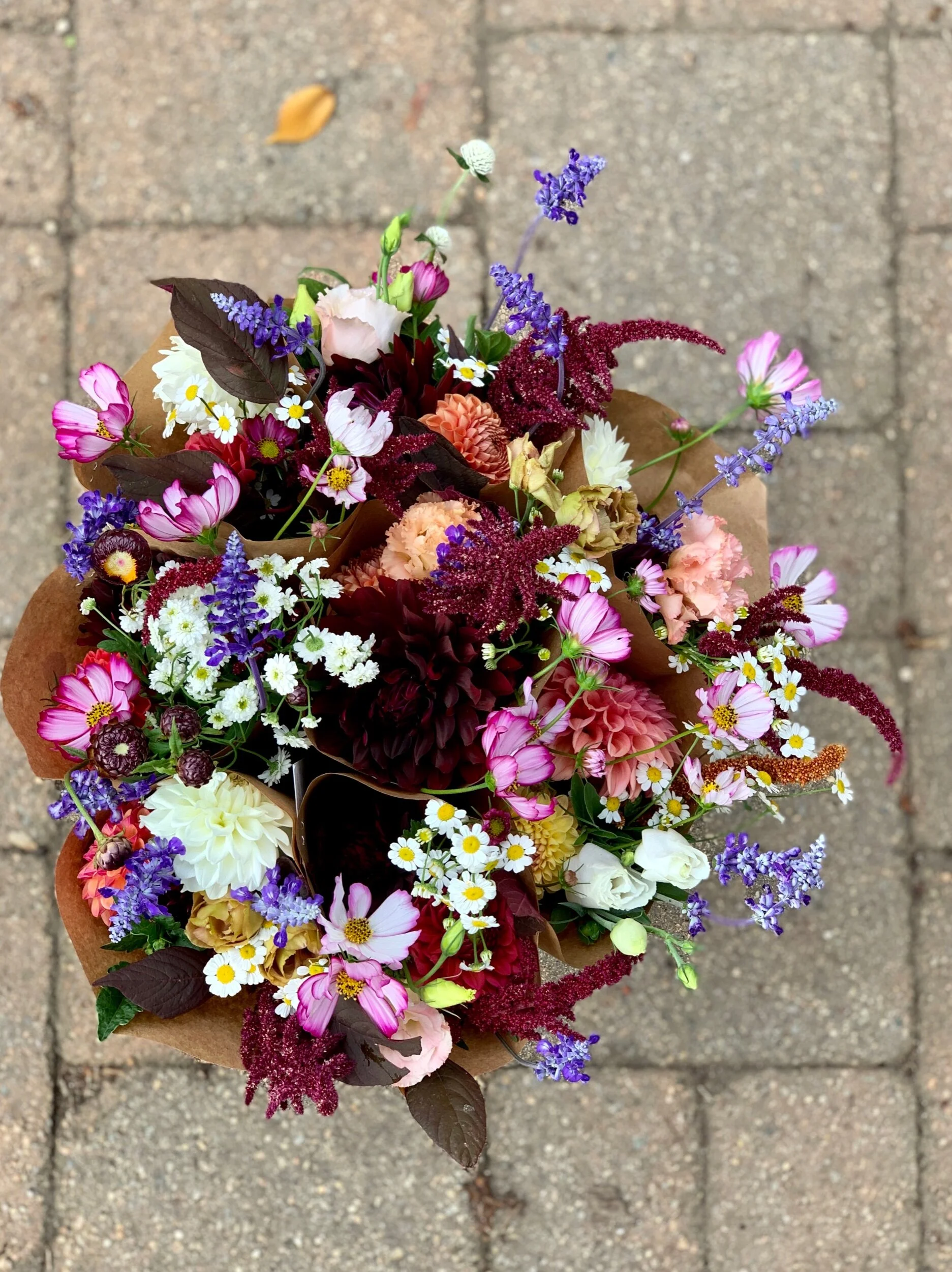 6EE9678B-D29A-4FA7-BF58-C8C03CD93B9E