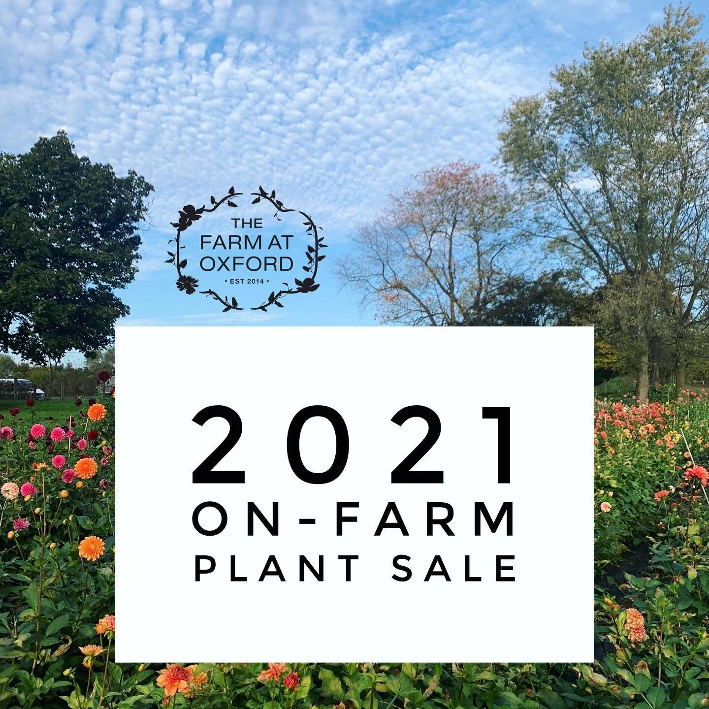 Ok guys👋🏼- We are gearing up for a BUSY season over here, so now is the time to start watching our feed for lots of updates on the regular.

First off, I just created the booking page for the 6 day April plant sale. There is a $5 fee to book your s