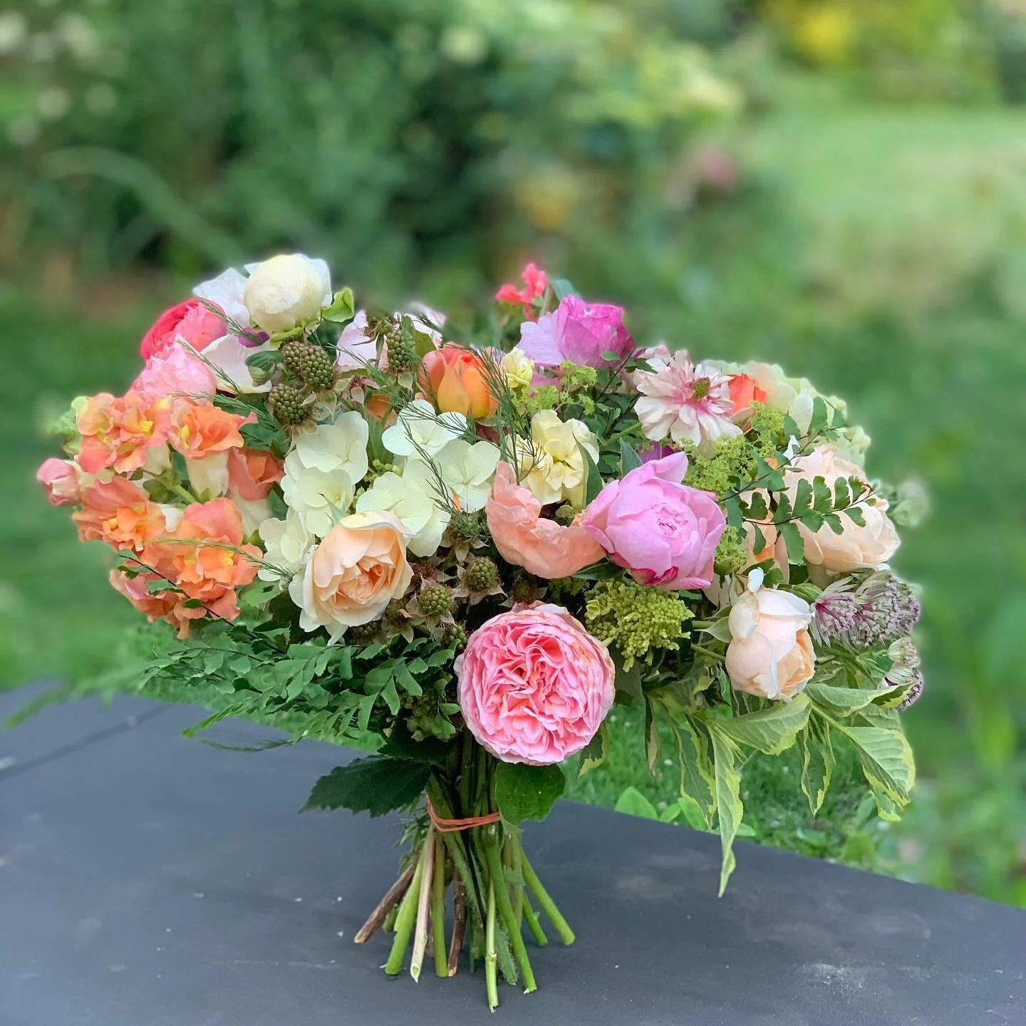 I&rsquo;ve been buried in gathering &amp; calculating alllll the farm stuff for taxes (soo many expenses!!) the last few days - SO here&rsquo;s a pretty pic of late spring goodness to get me (and you) through this Monday! Thankful for the sunshine th