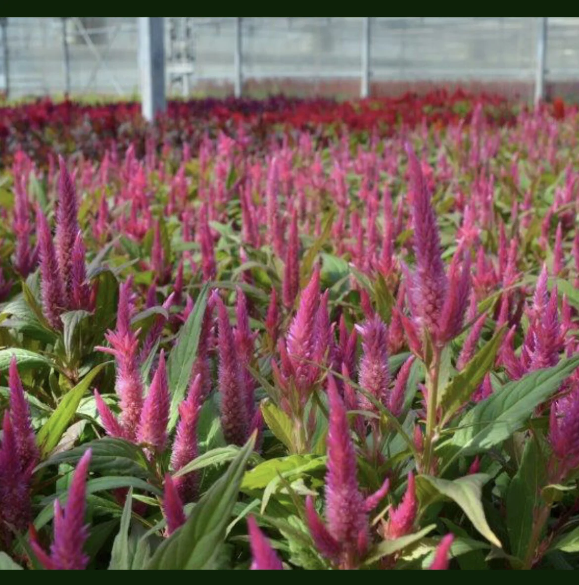 B955C406-8083-484C-85E5-BA15618CF8B8