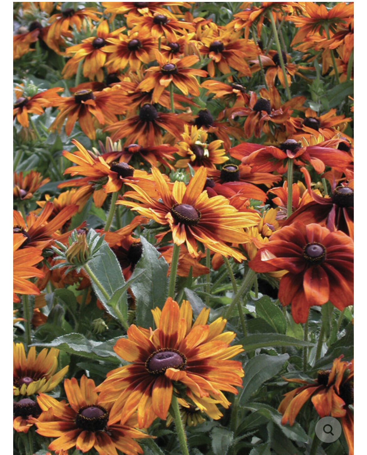 19572245-C551-44BA-ABF7-ACE103BDA0E9