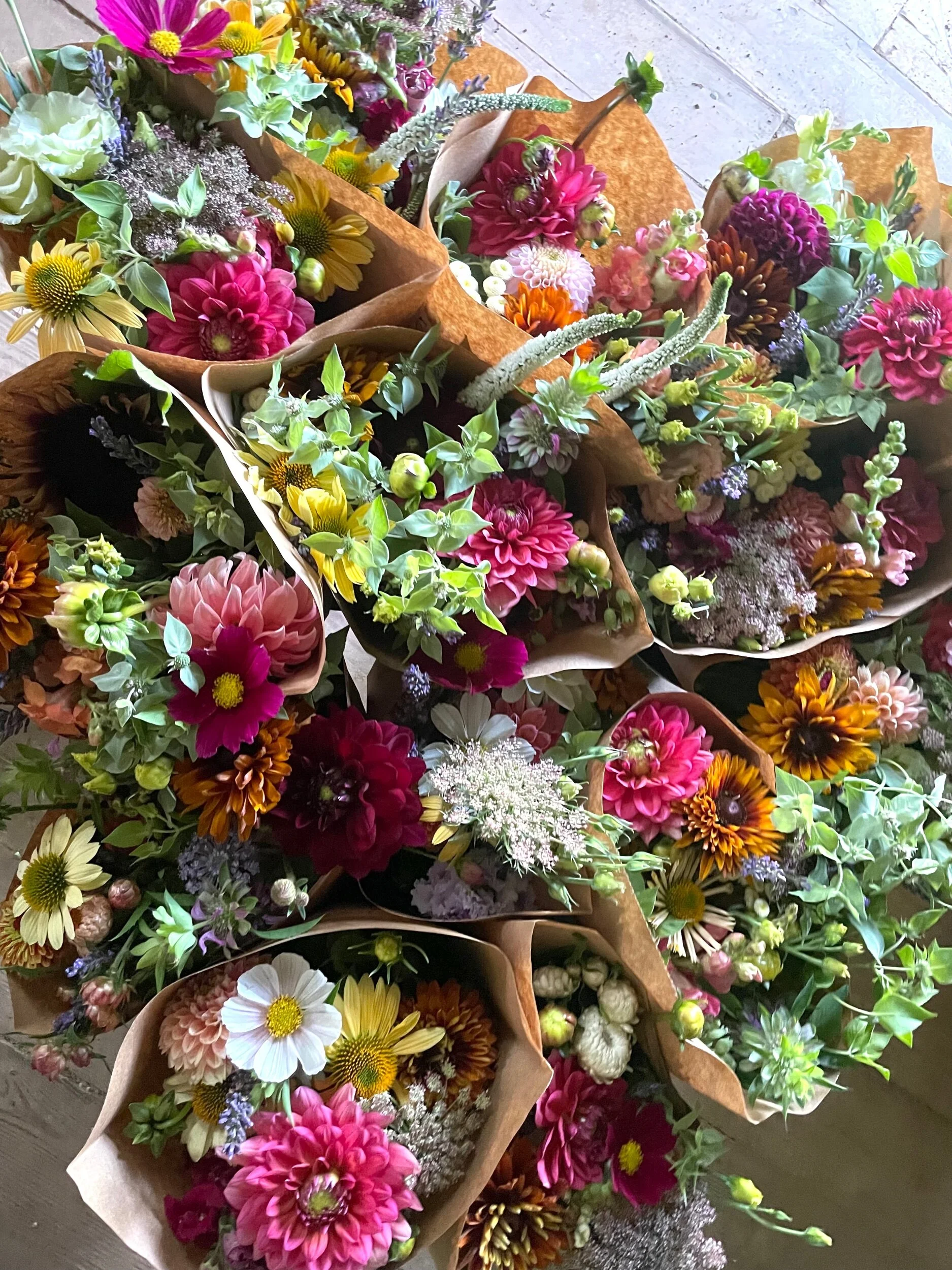 61D4EB46-BD03-47E7-92FE-0643DB7B0C1F