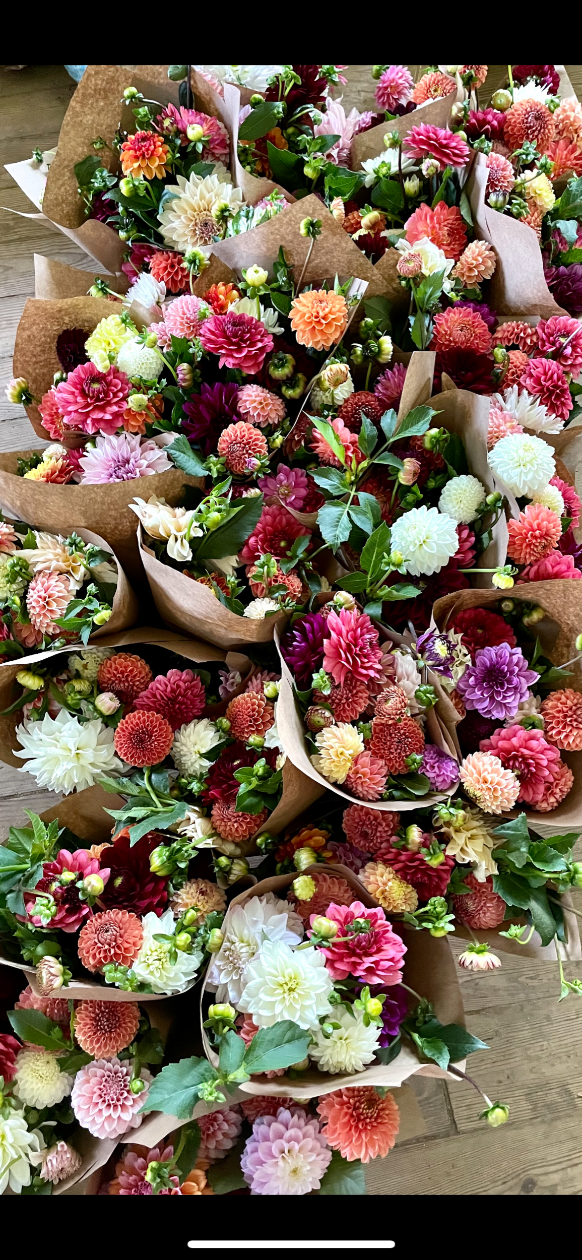 AD3C6BF0-2F10-403A-8650-2ABE6D08EEBD