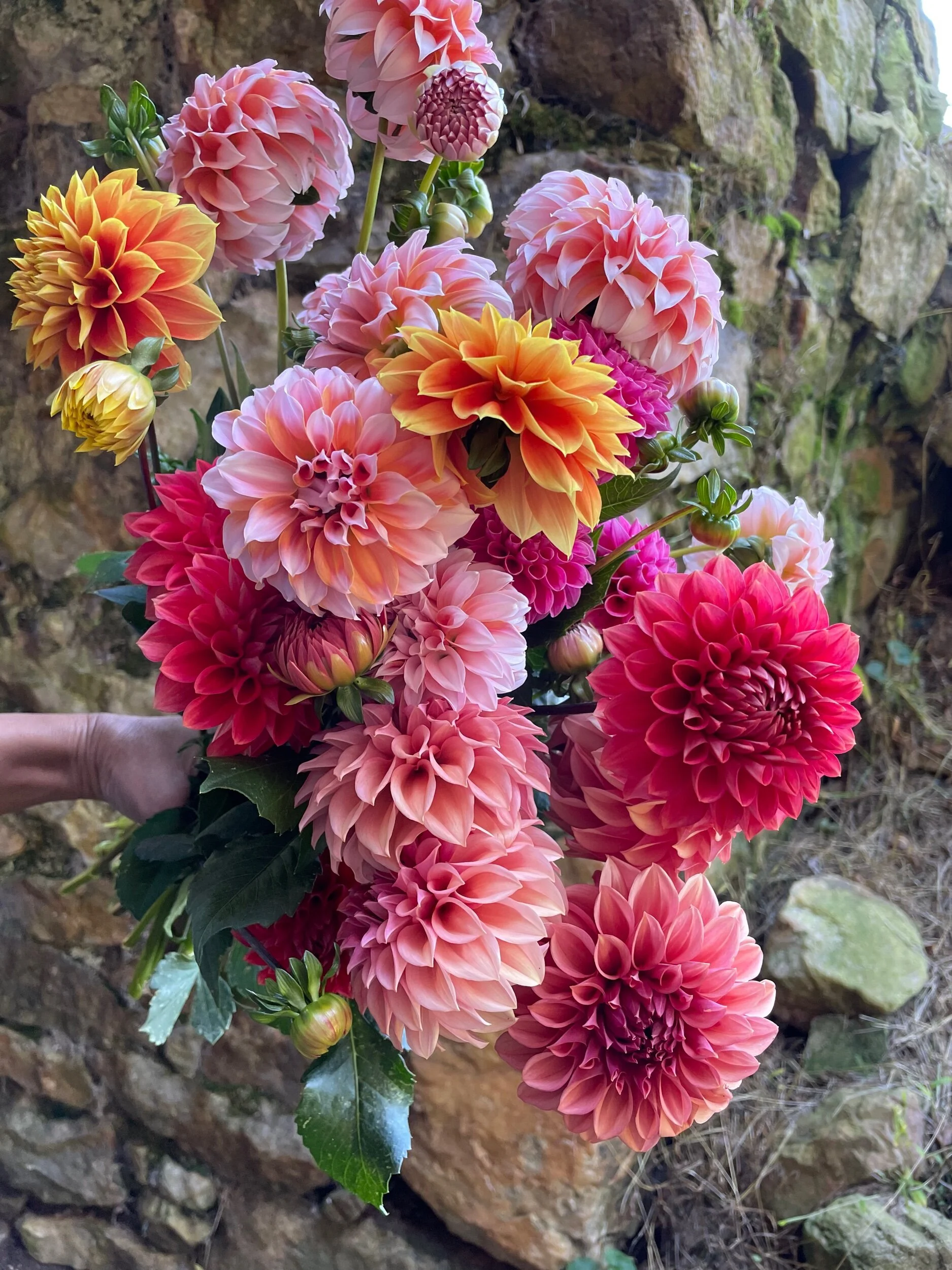 75787432-D8AA-406A-B1C4-91BC280F2F61