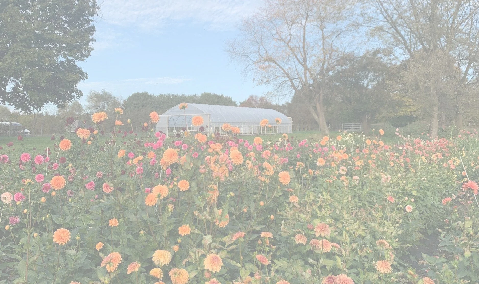 About_Background_3.jpg
