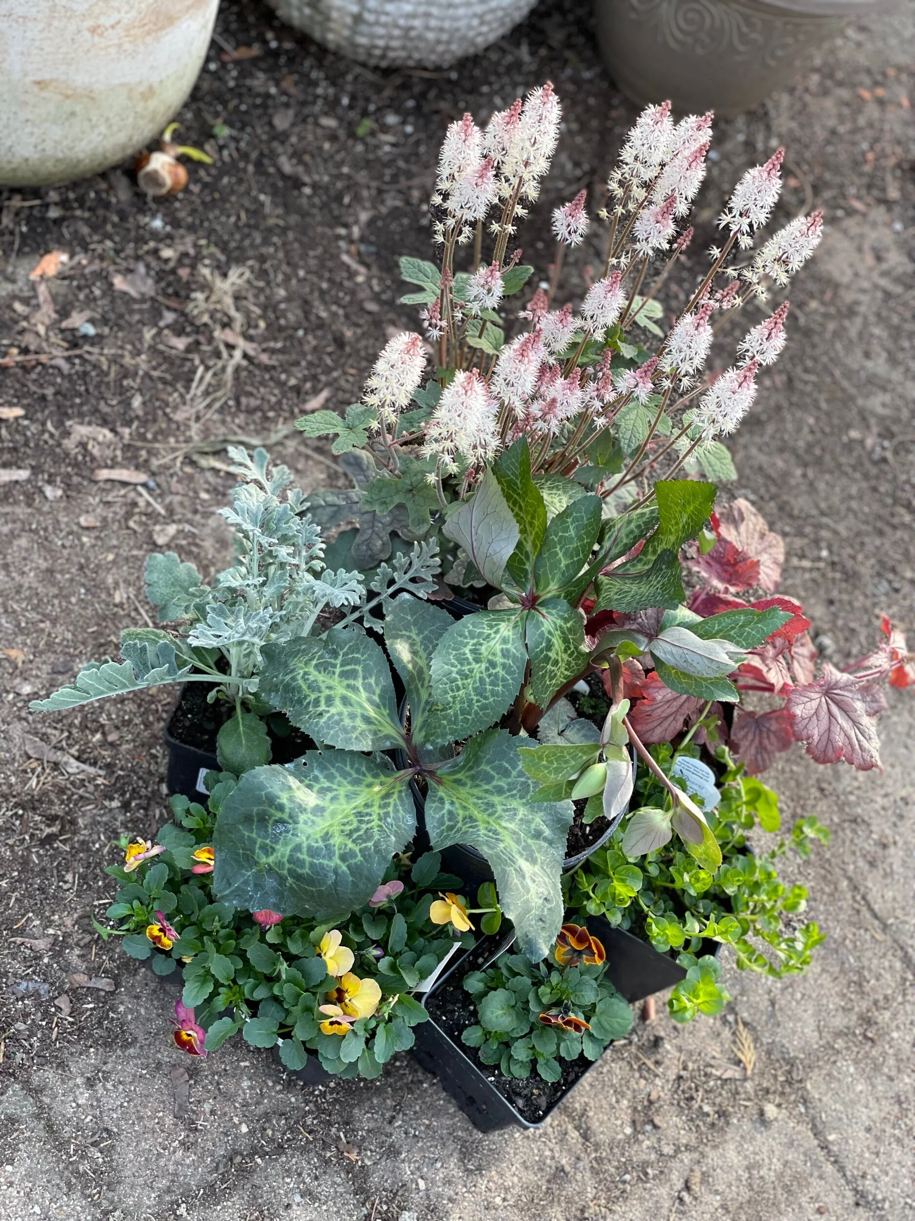 058D4655-C6B5-4EF8-B056-ECA24F65ADEA