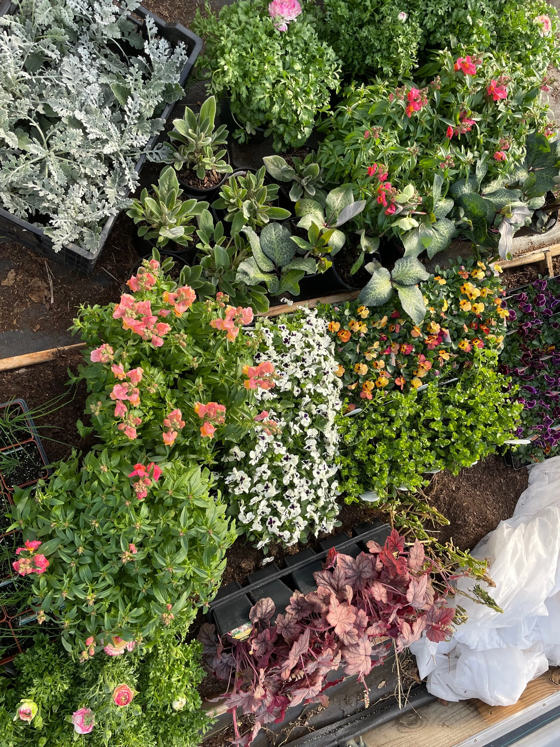 F2969830-011A-4009-AADC-9F44A5AE07E1