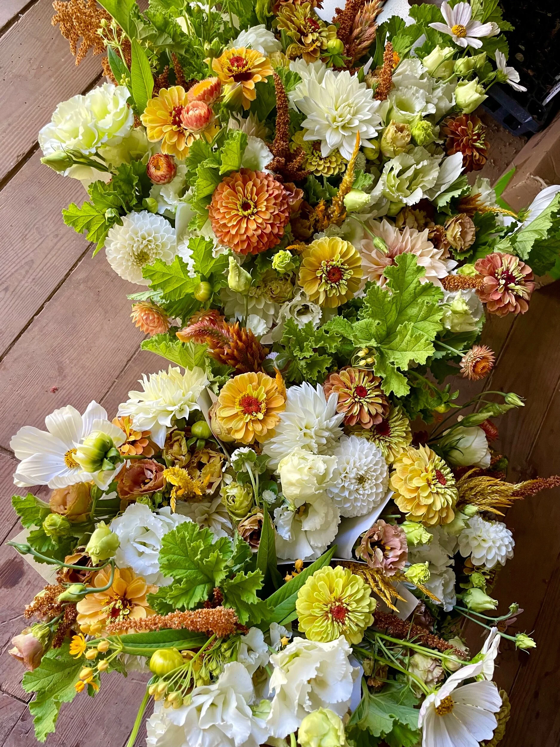 4E3D6375-0C25-4D36-BBF4-13CD14D51D4D