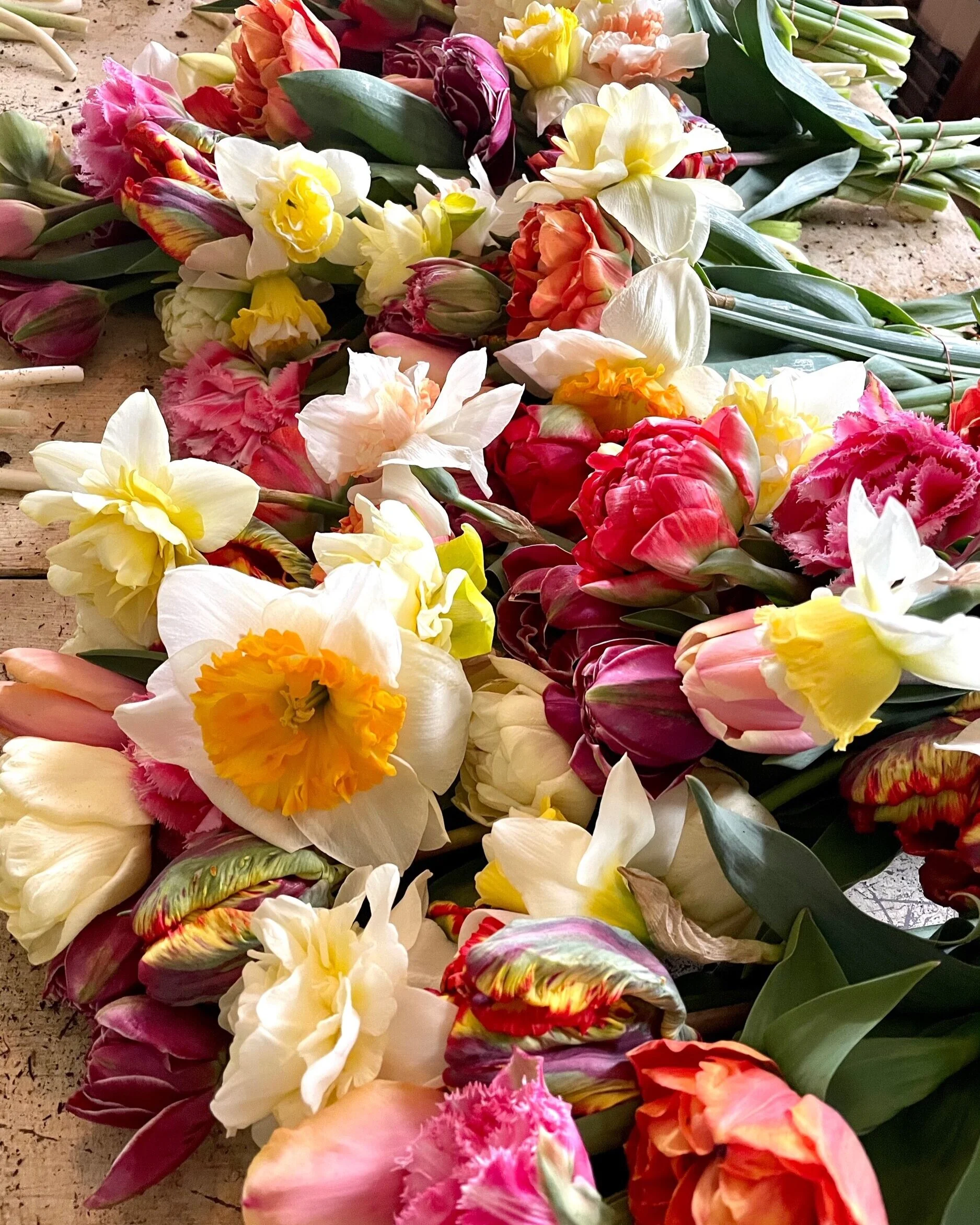 879D18D8-059F-4781-B565-7F8CF4E25C27