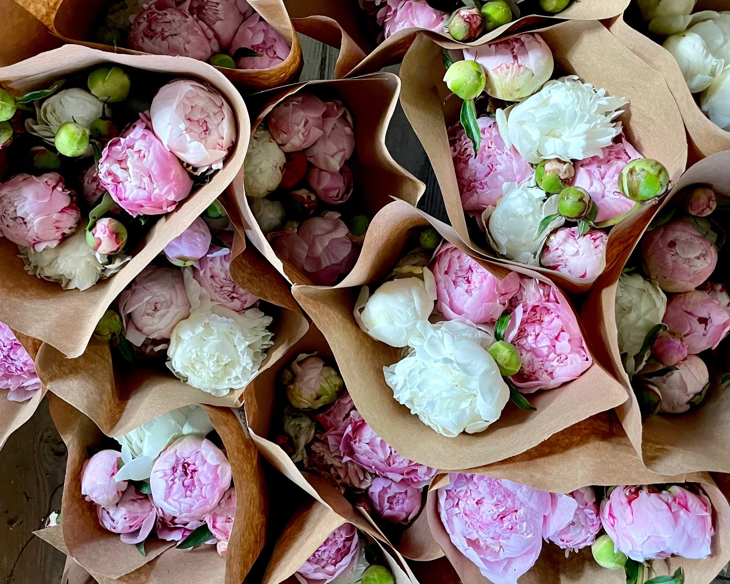 2026 Passion for Peony Share: 3 Weeks of Flowers (May)