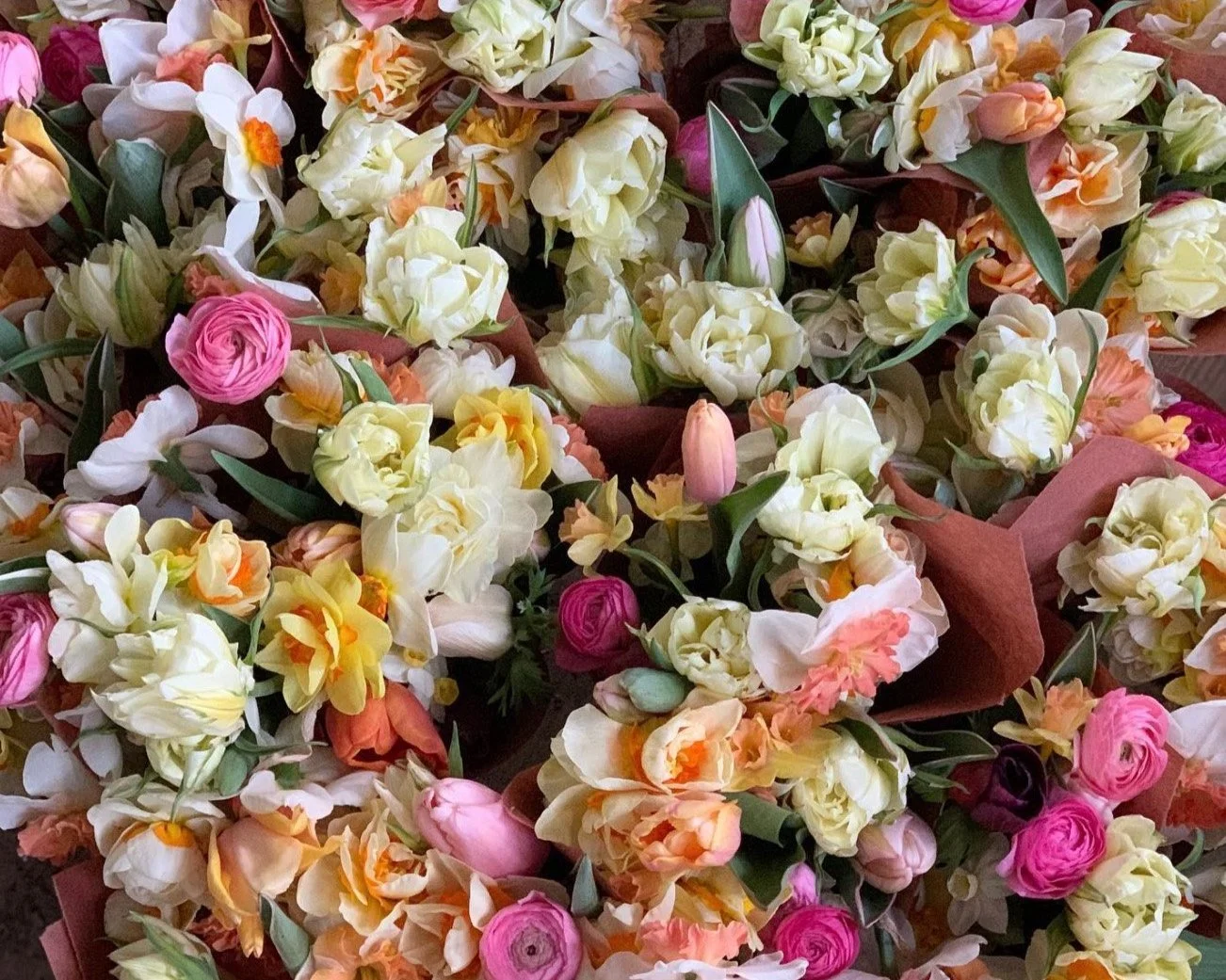 2026 Spring Ephemerals Share: 3 Weeks of Flowers (April)