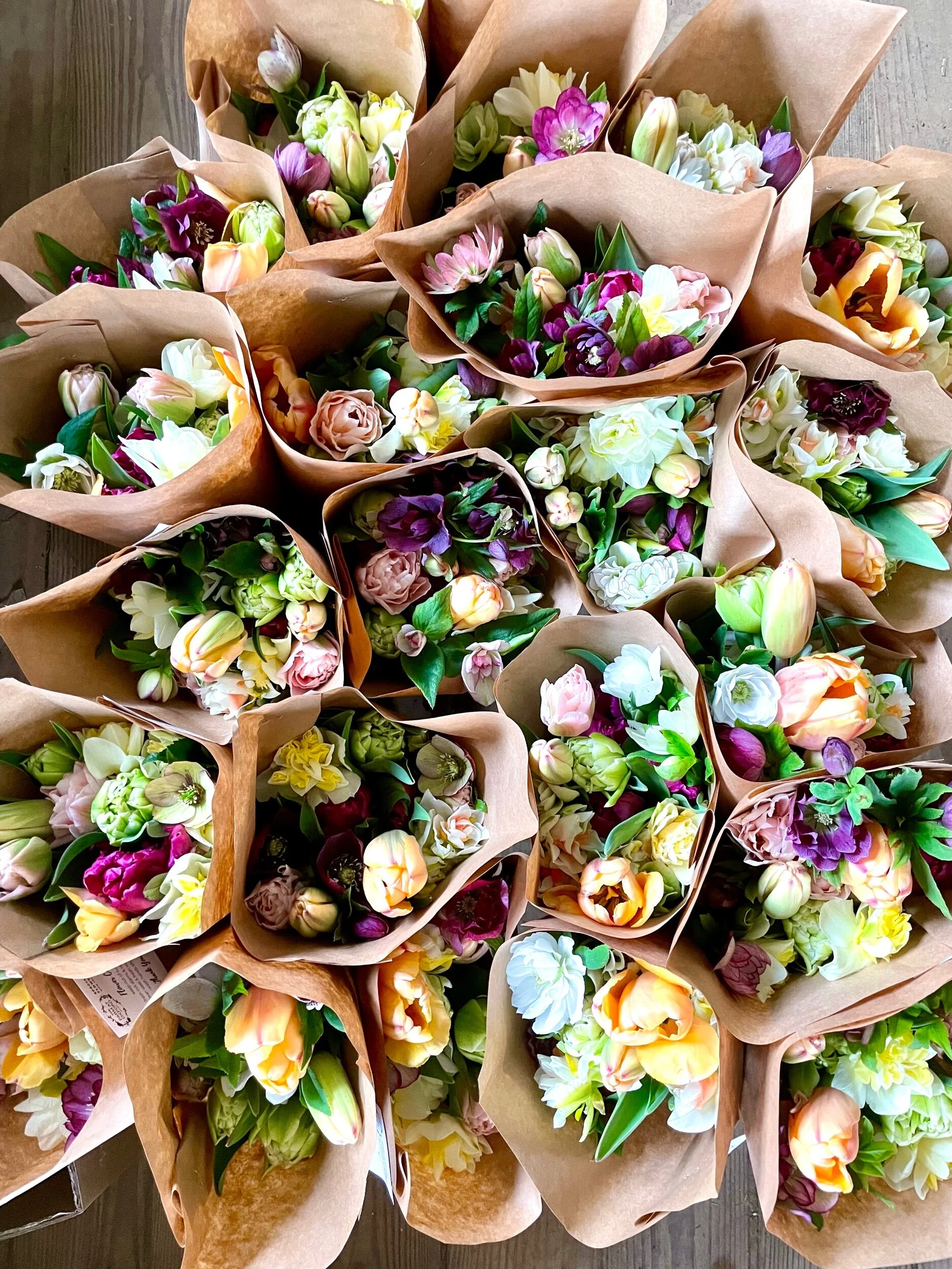 F6BEE8B4-2BC2-4BE7-A3D0-83DDE920B92C