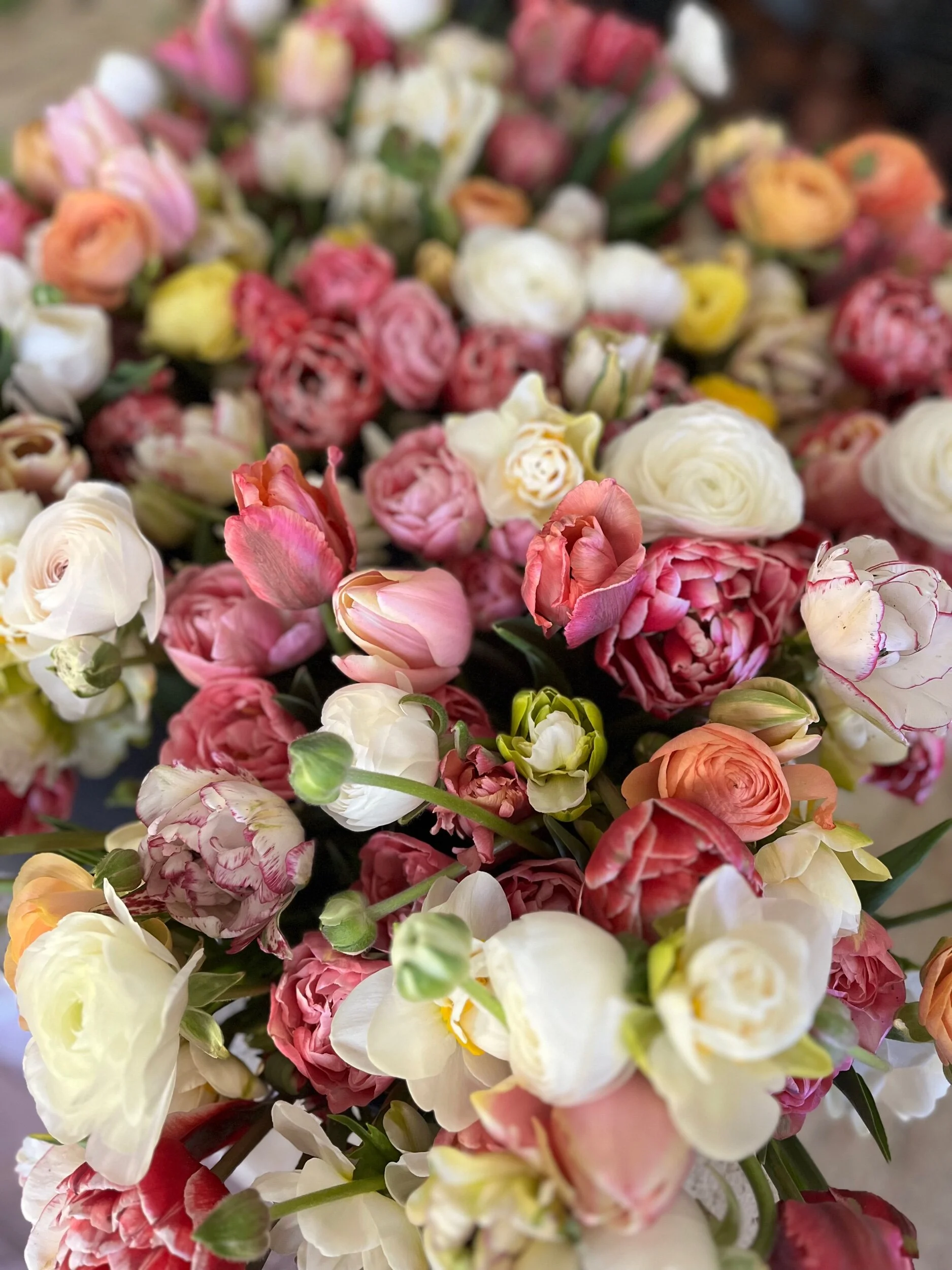 28F0999B-C148-4D4E-AA55-B70E86BC5C12