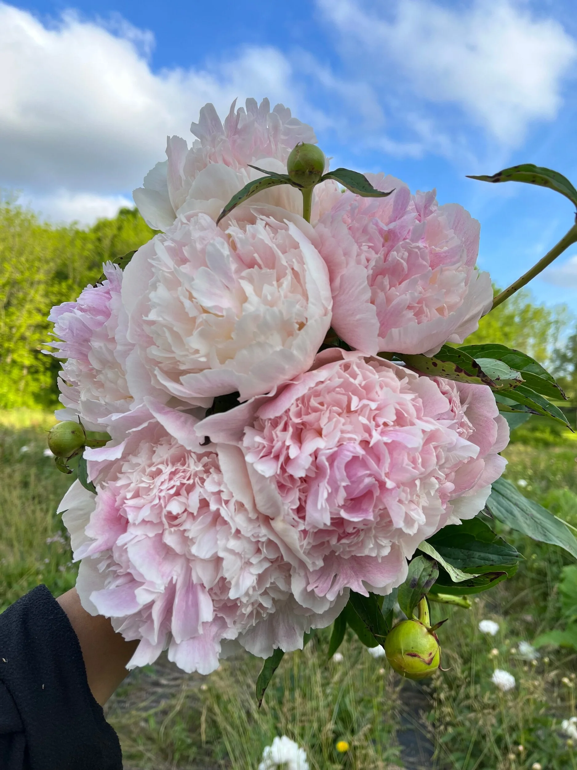 13F00572-05F7-4139-9044-F1A85CDB540E