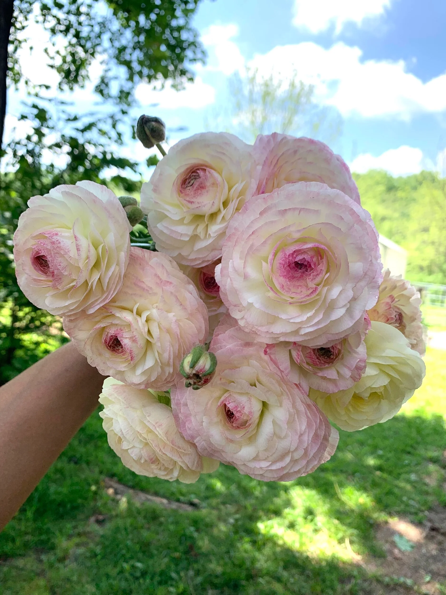 B03539C3-7C79-4F5D-A3AB-A29D4A1C1CD0