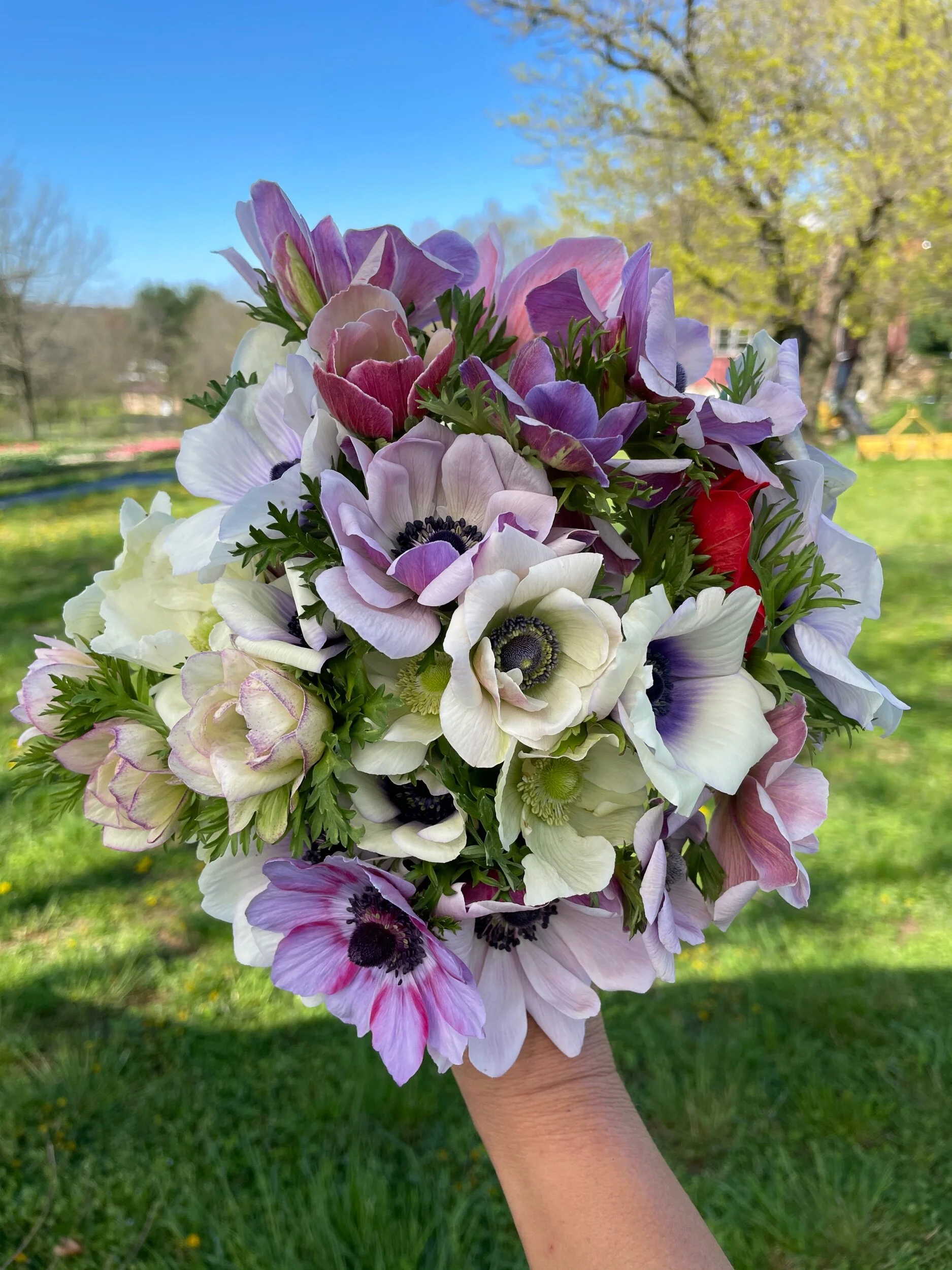 8E3D627B-A52B-4E33-89D1-F5BDBDD968C2